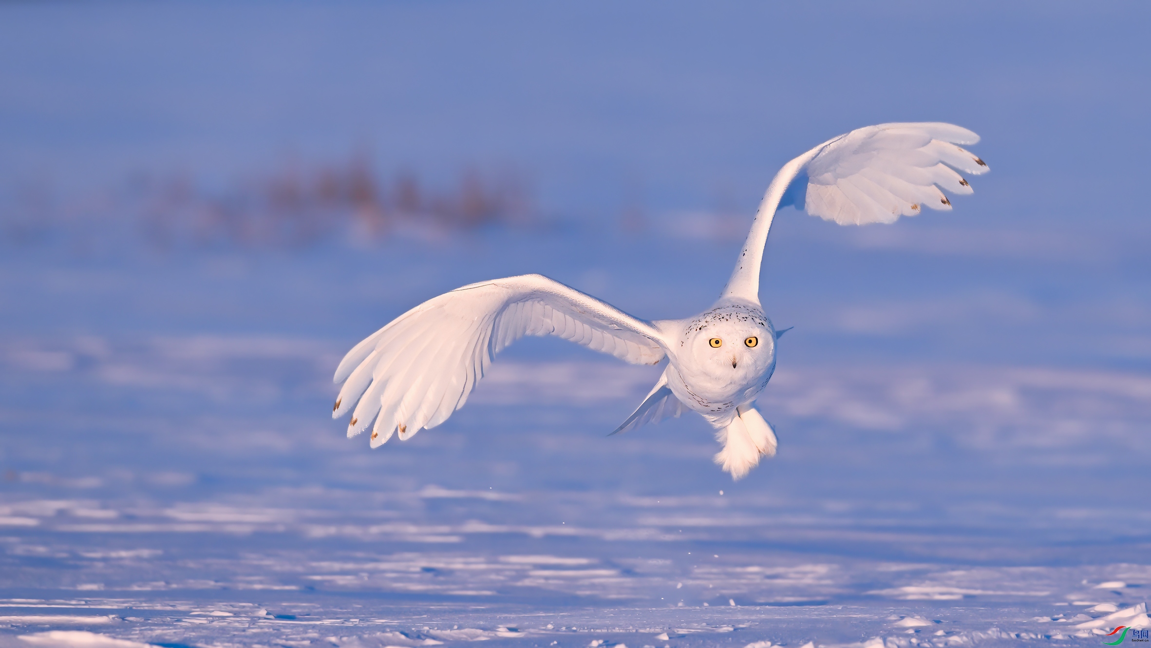 ѩ�^DSC_5725.jpg