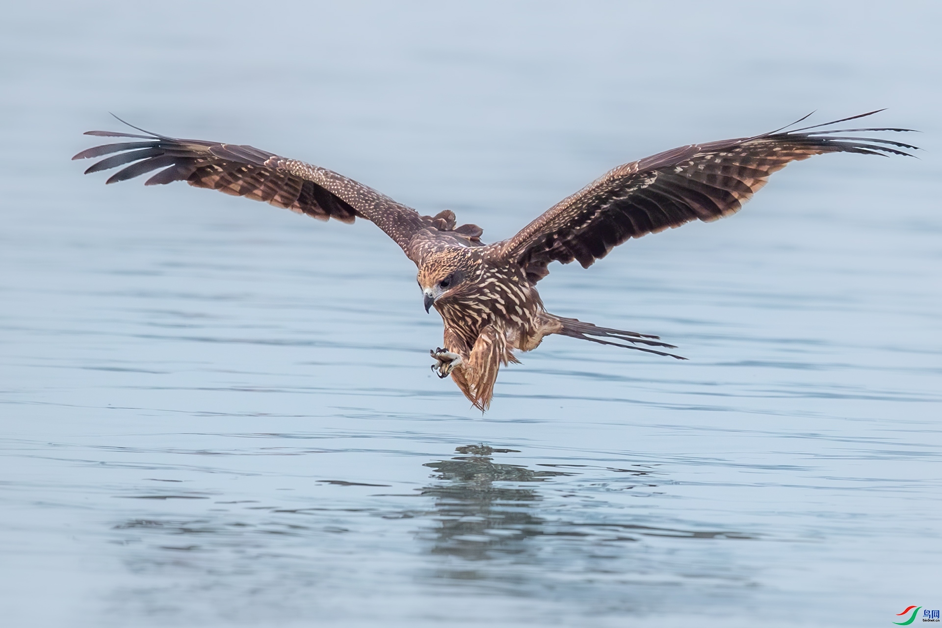 5.1 ����ī��ʦ��Ʒ  ��������  �ٻ�2024��5��1��������ҳ����.jpg