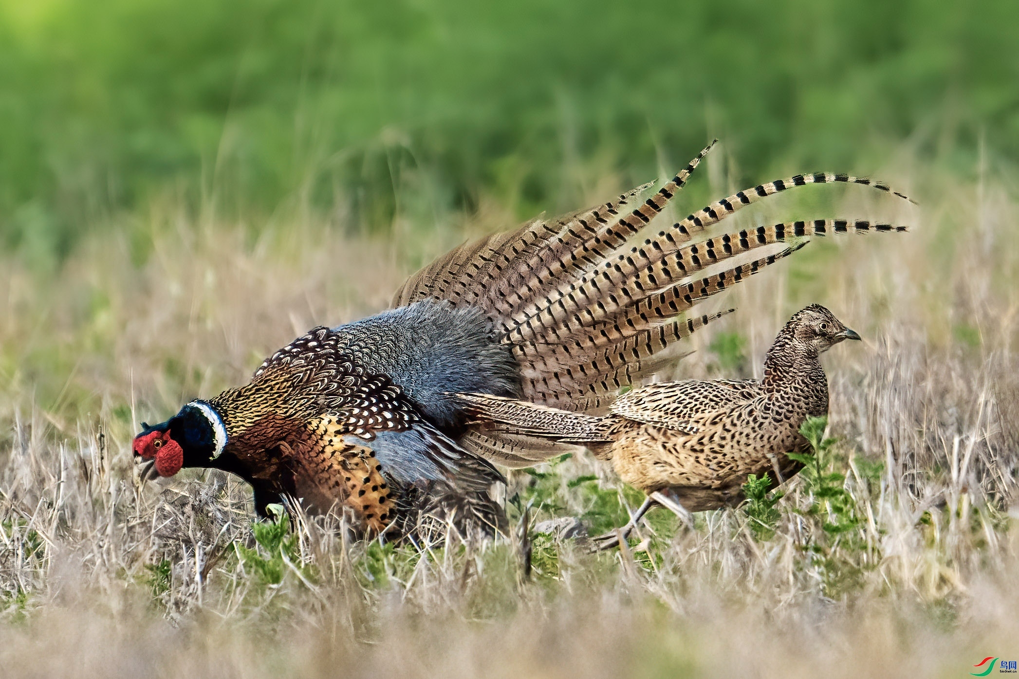 5.2 ������ʦ��Ʒ  ���������  �ٻ�2024��5��2��������ҳ����.jpg