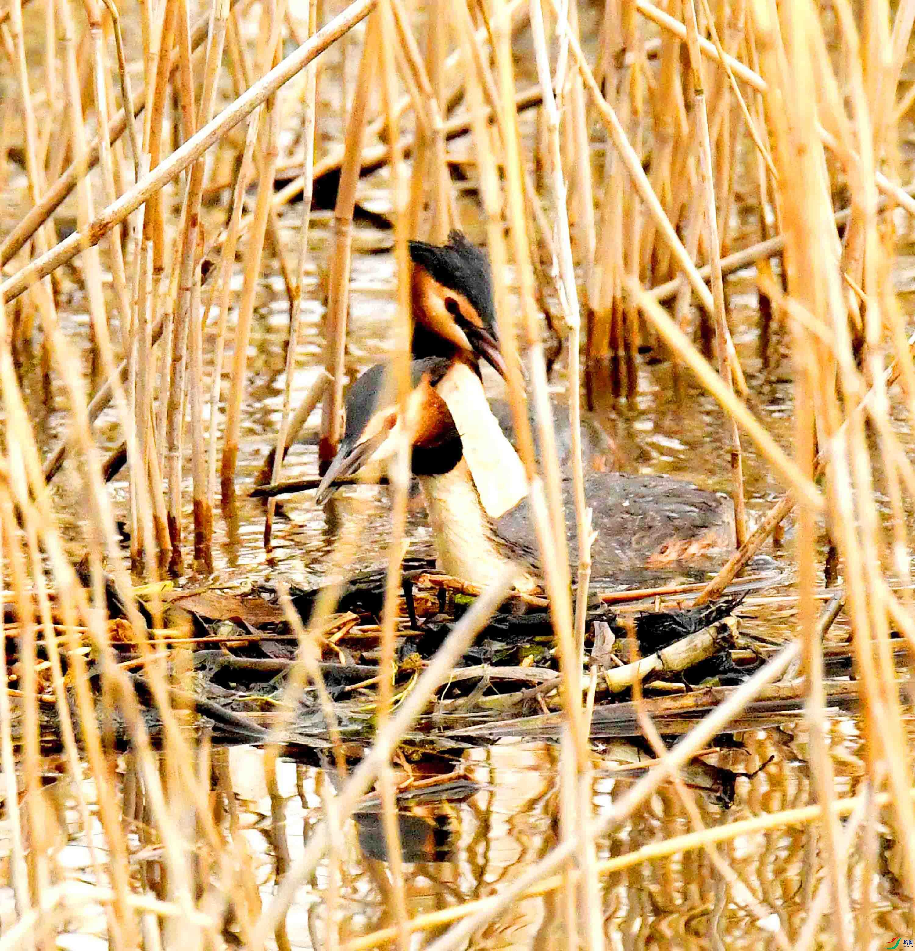 DSC_2794.JPG
