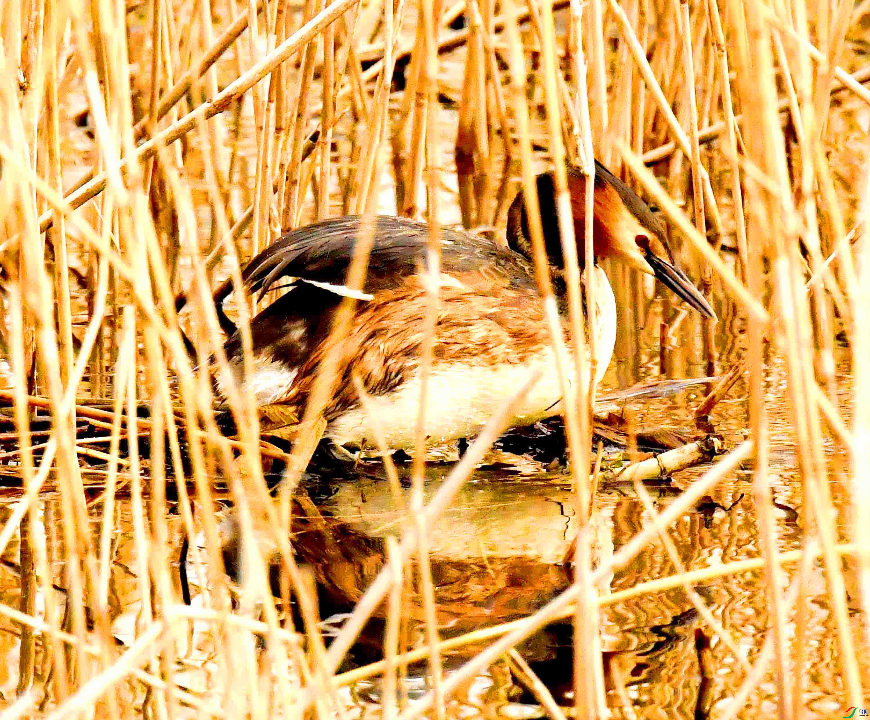 DSC_2816.JPG