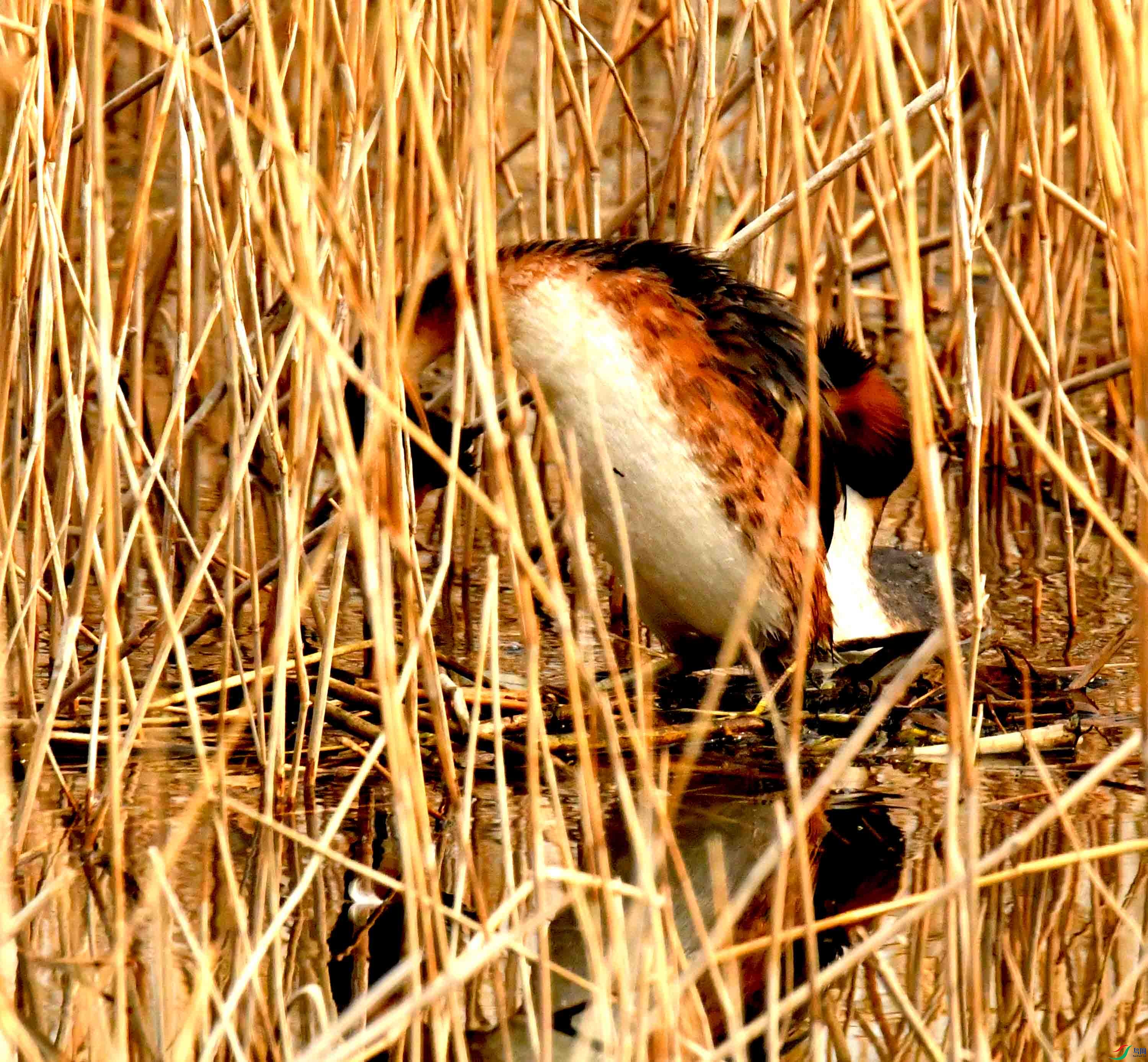 DSC_2866.JPG
