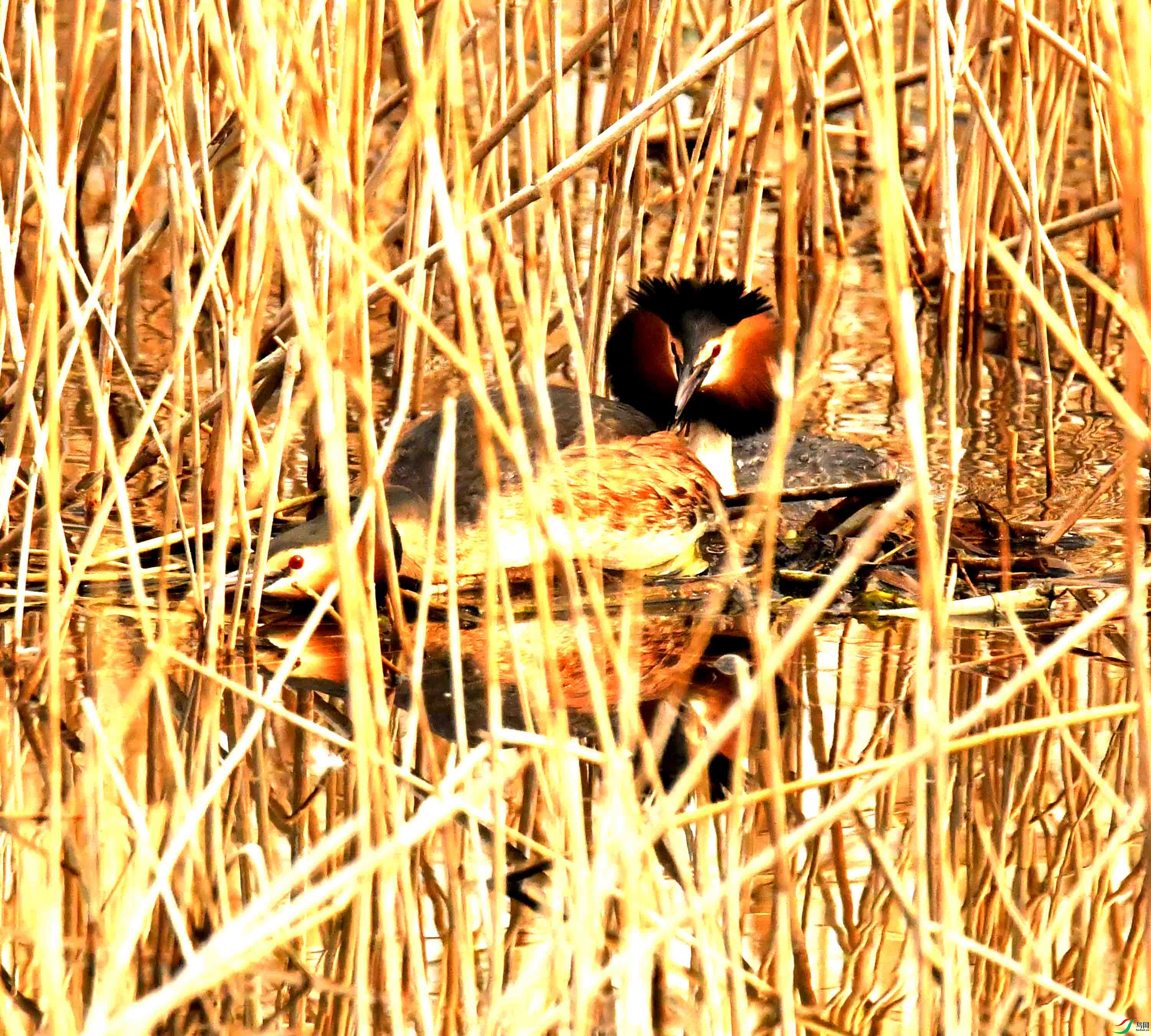DSC_2869.JPG