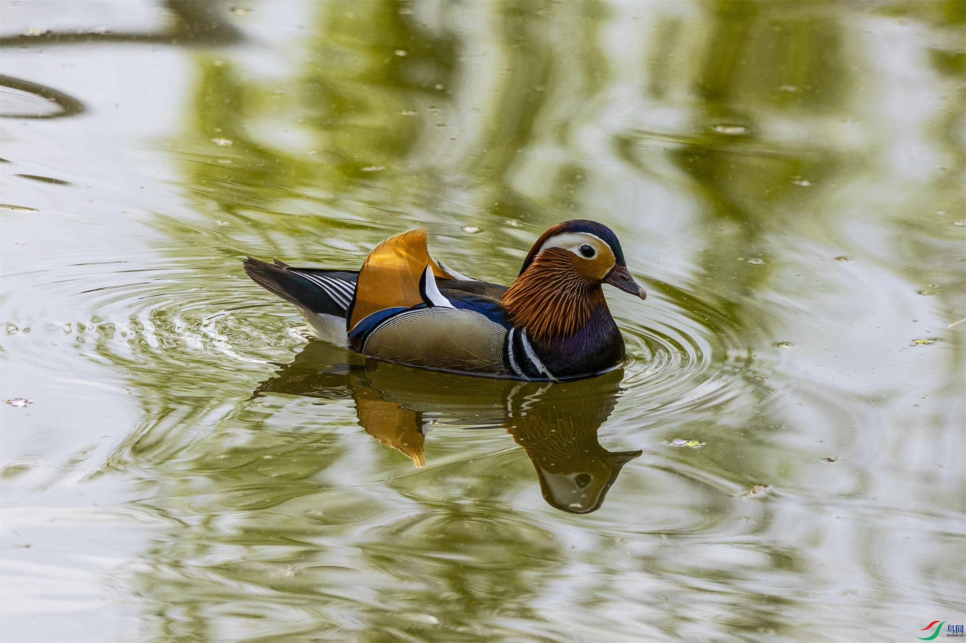 1K3A8779 ����1.jpg