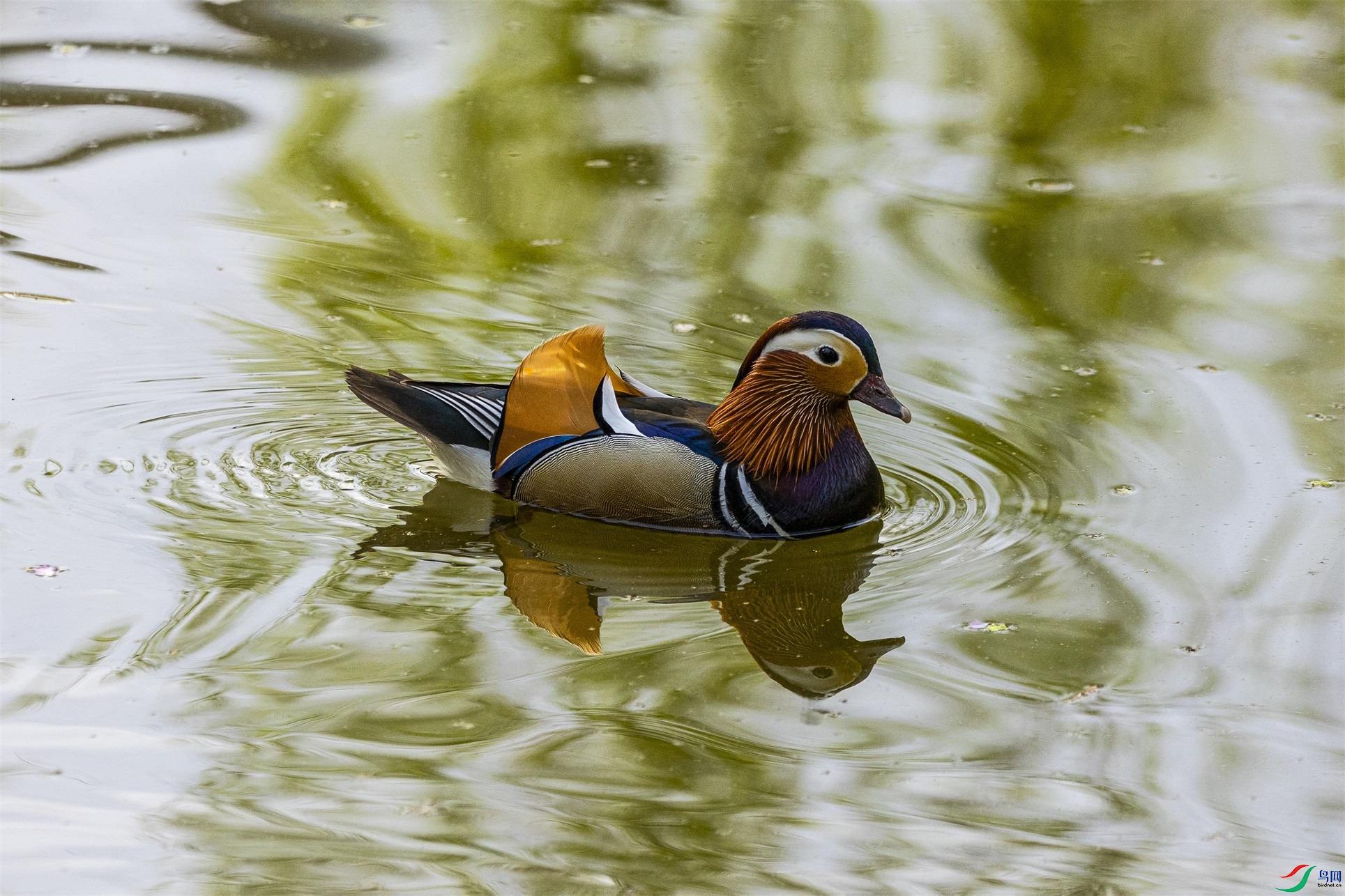 1K3A8778 ����1.jpg