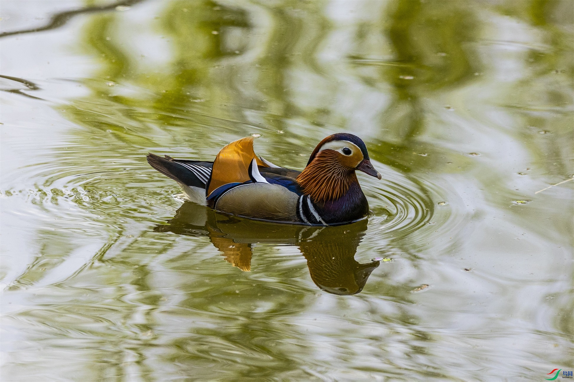 1K3A8782 ����1.jpg