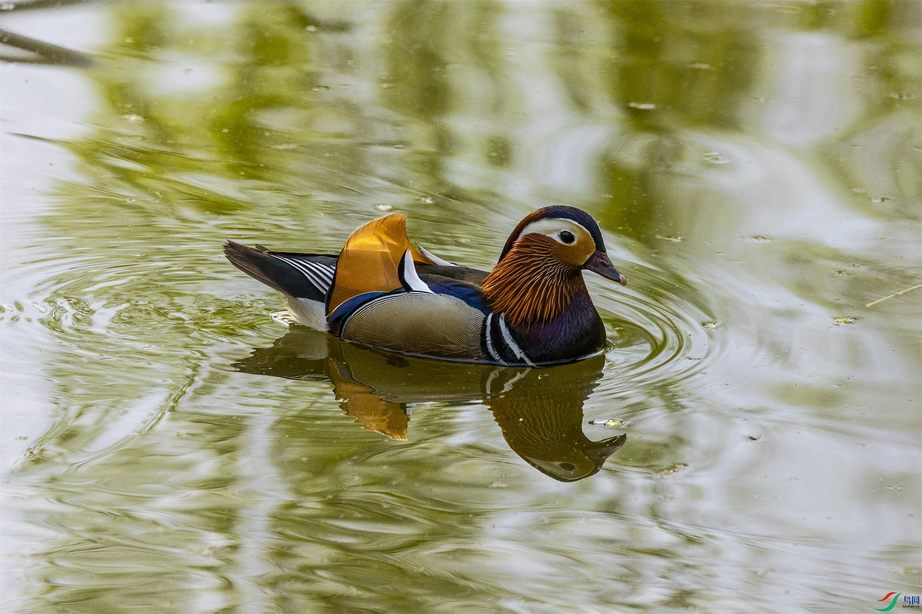 1K3A8784 ����1.jpg