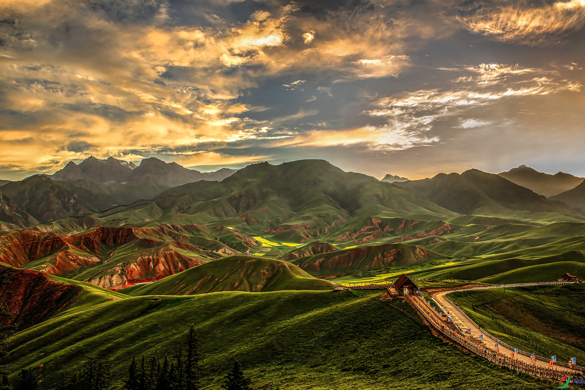 _DSC7770 - ��ϼӳ��׿��ɽ.jpg