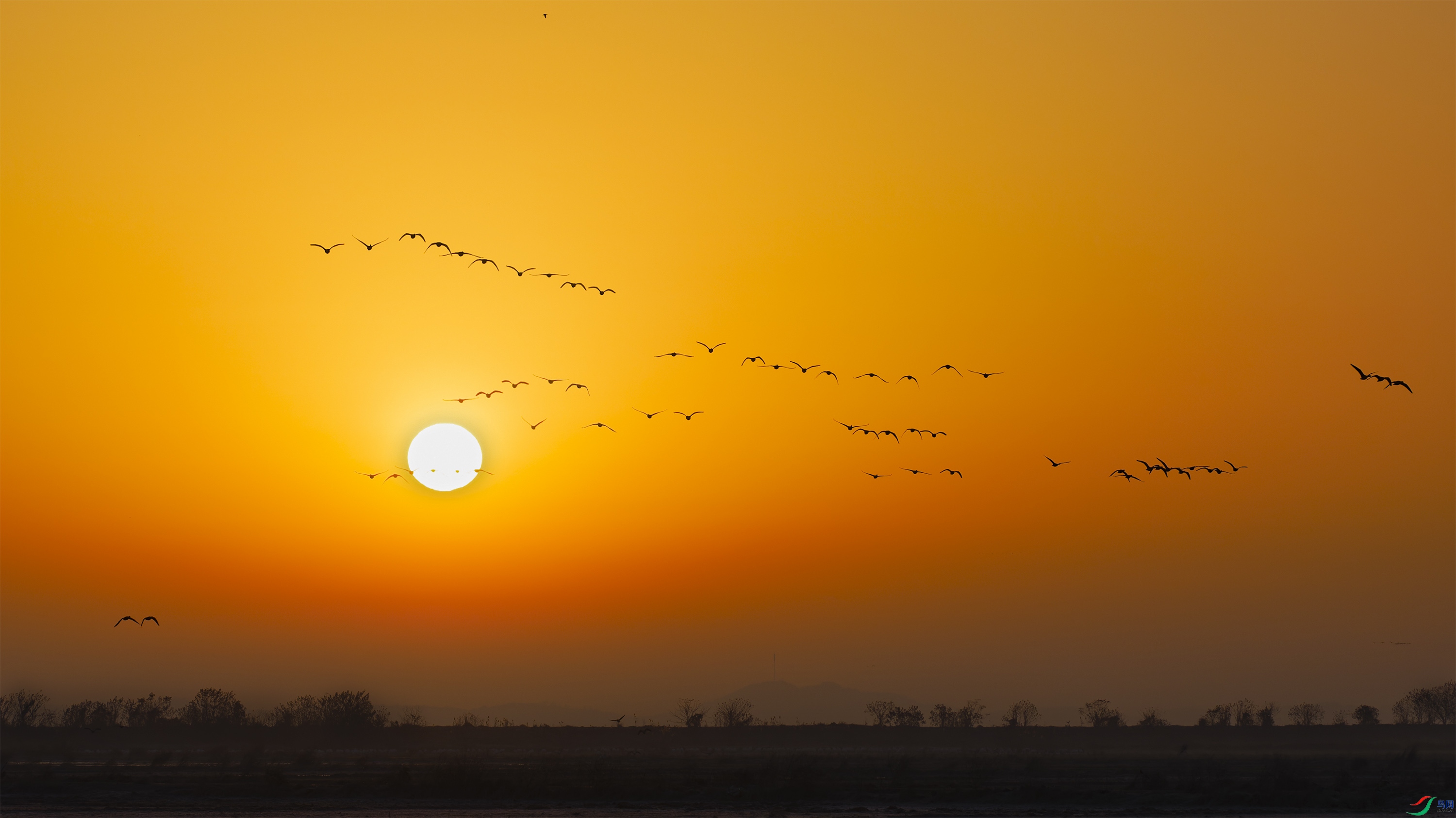 DSC_6803_DxO.jpg