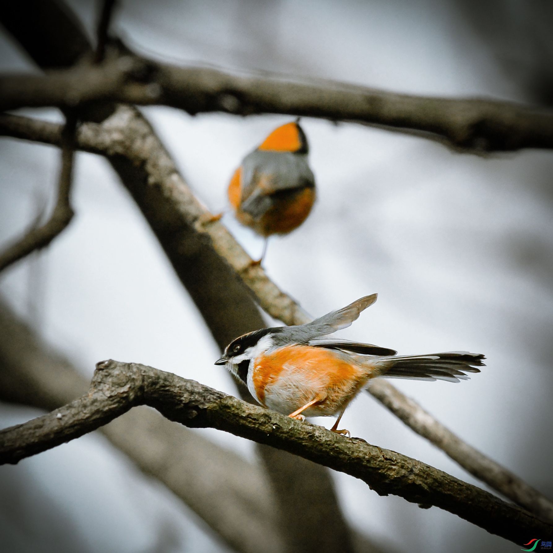 DSC_6162.jpg
