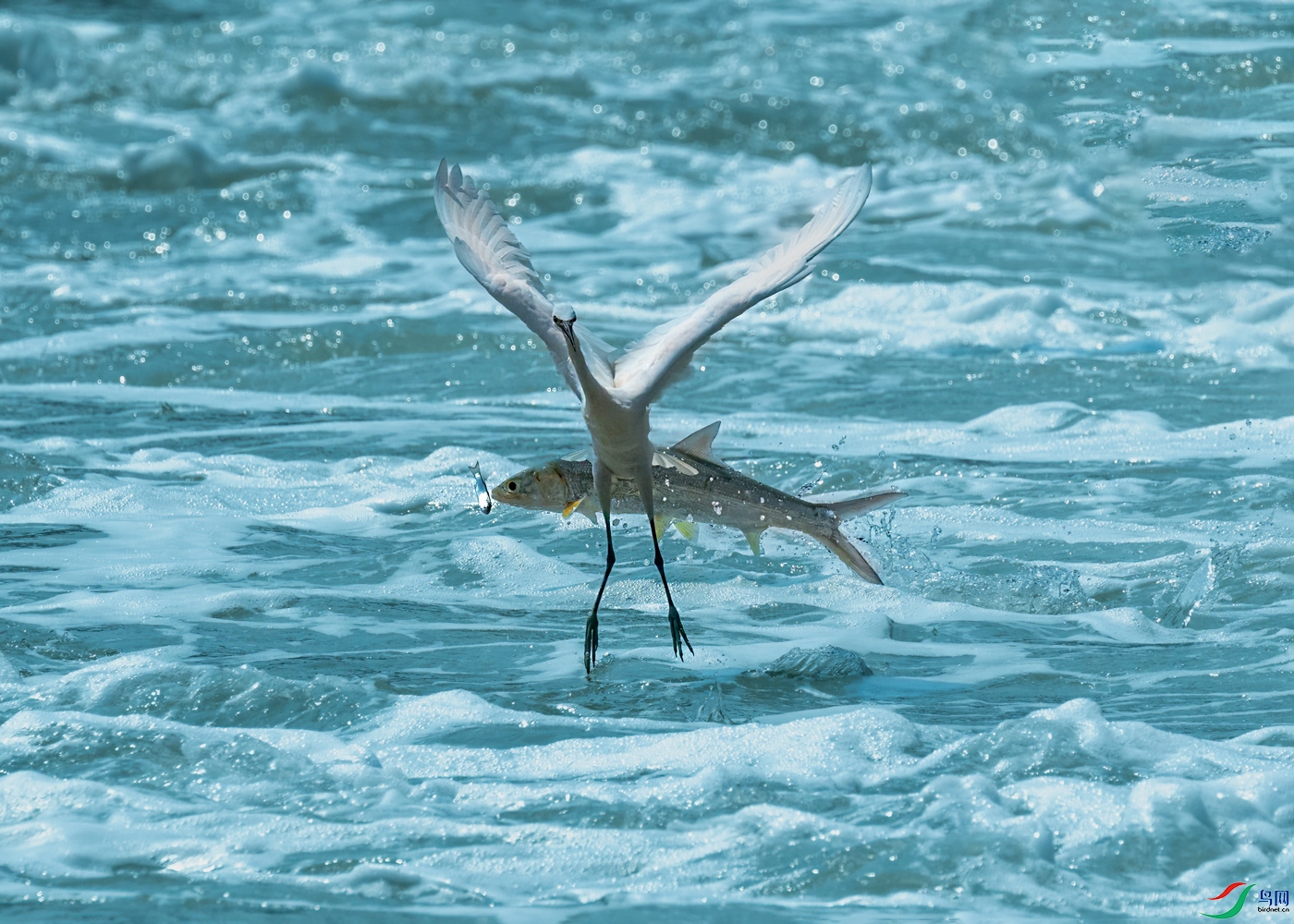 DSC_0534.jpg