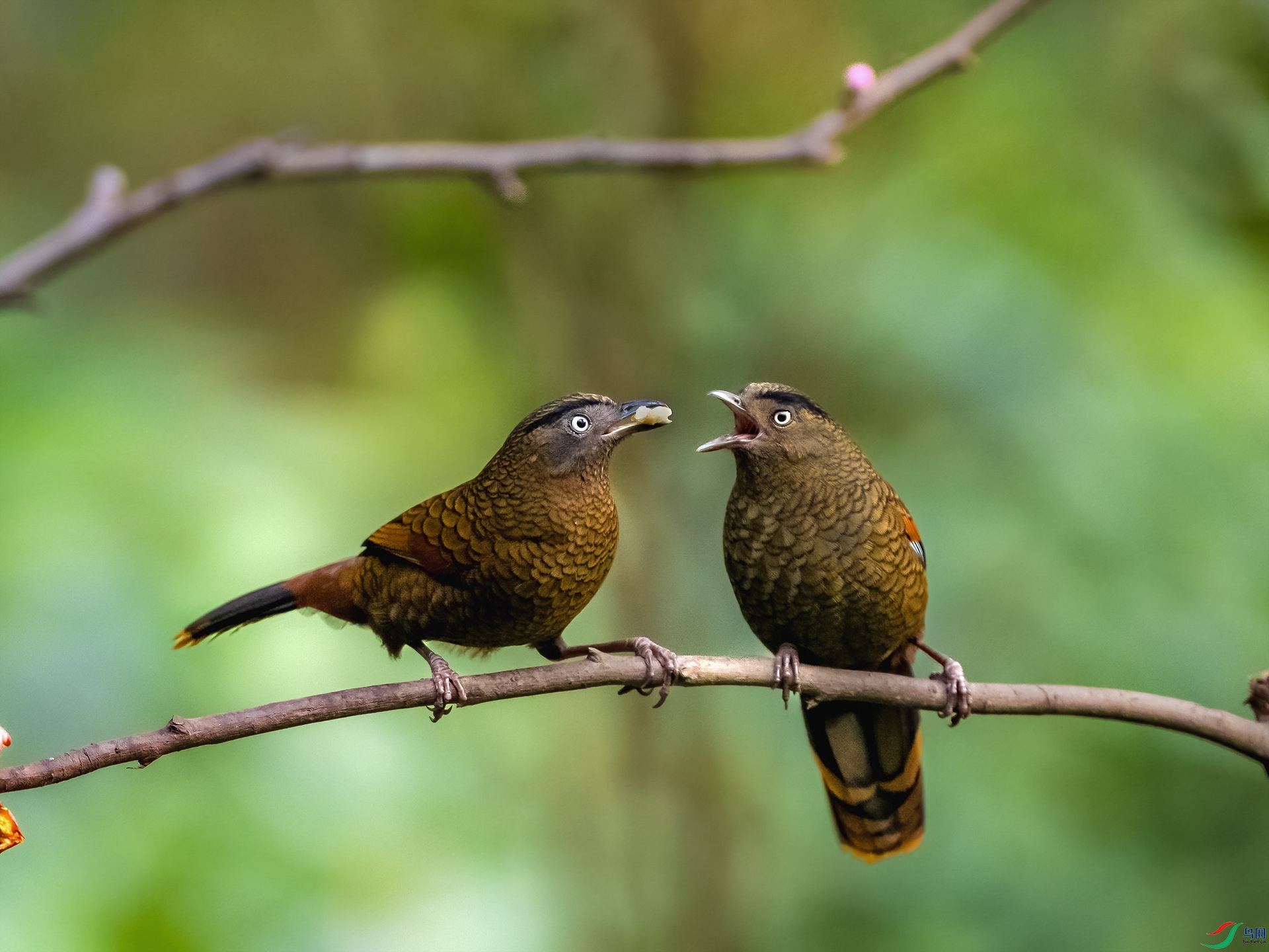 _DSC4707 ����.jpg