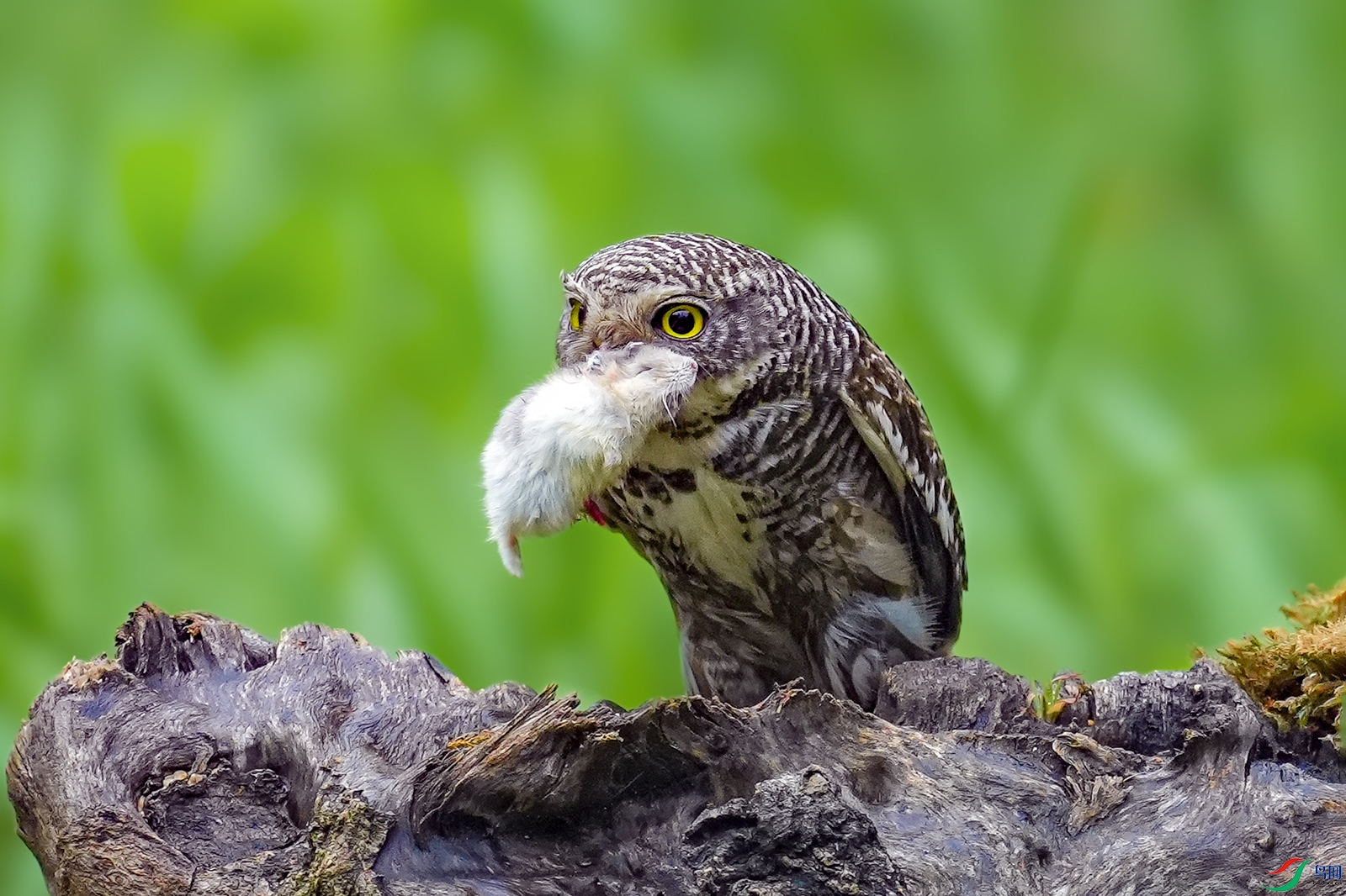 DSC06057 ���� 2.jpg