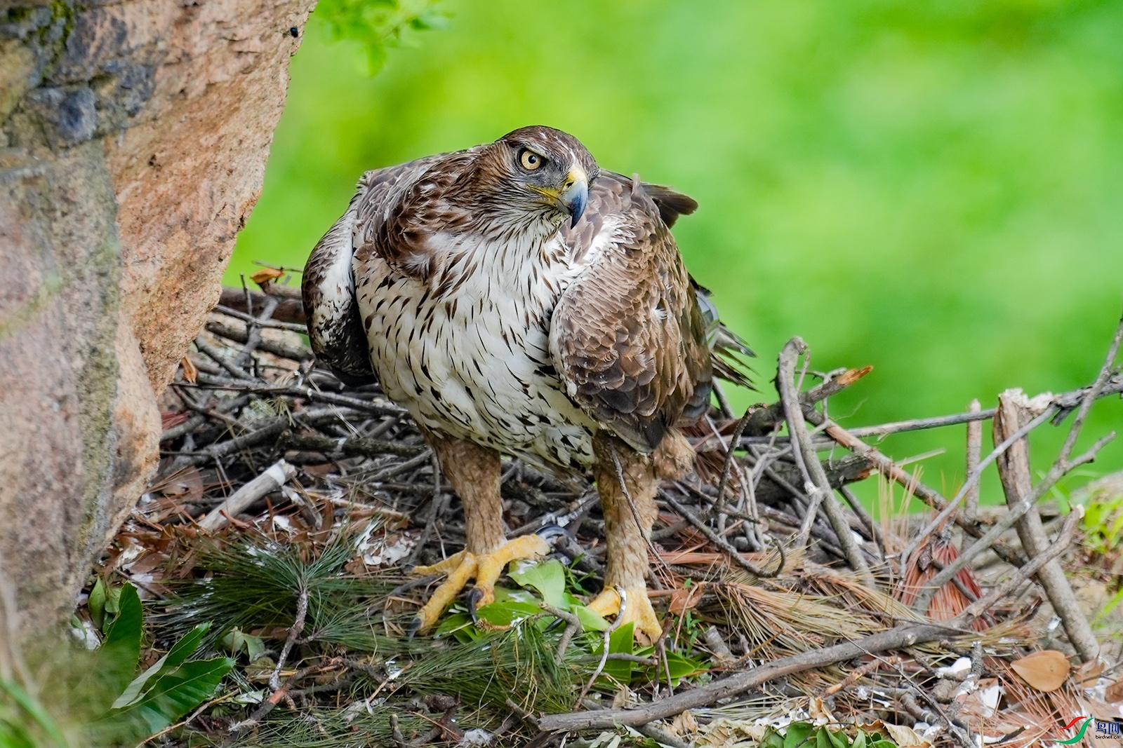 DSC07712 ����.jpg