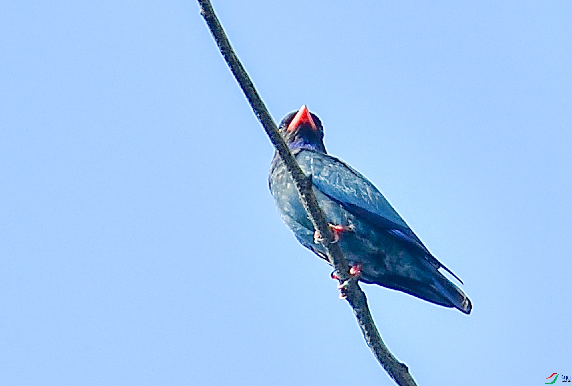 DSC_4625.jpg