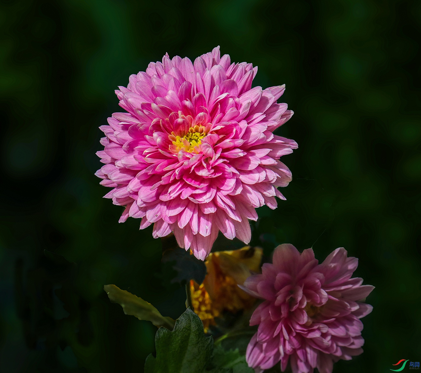 0000583A0616 ���Һ� 1000k.jpg