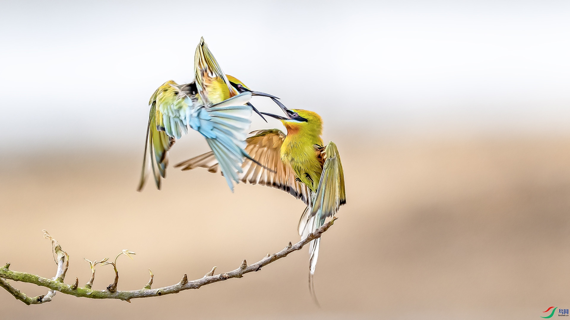 DSC_7681 ���� 2.jpg