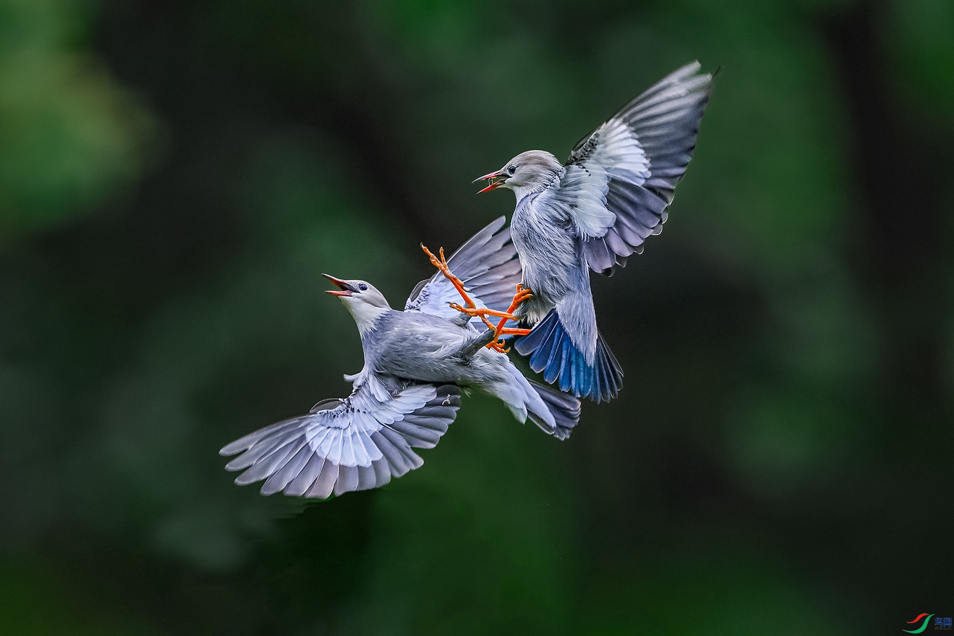 DSC_3401a.jpg