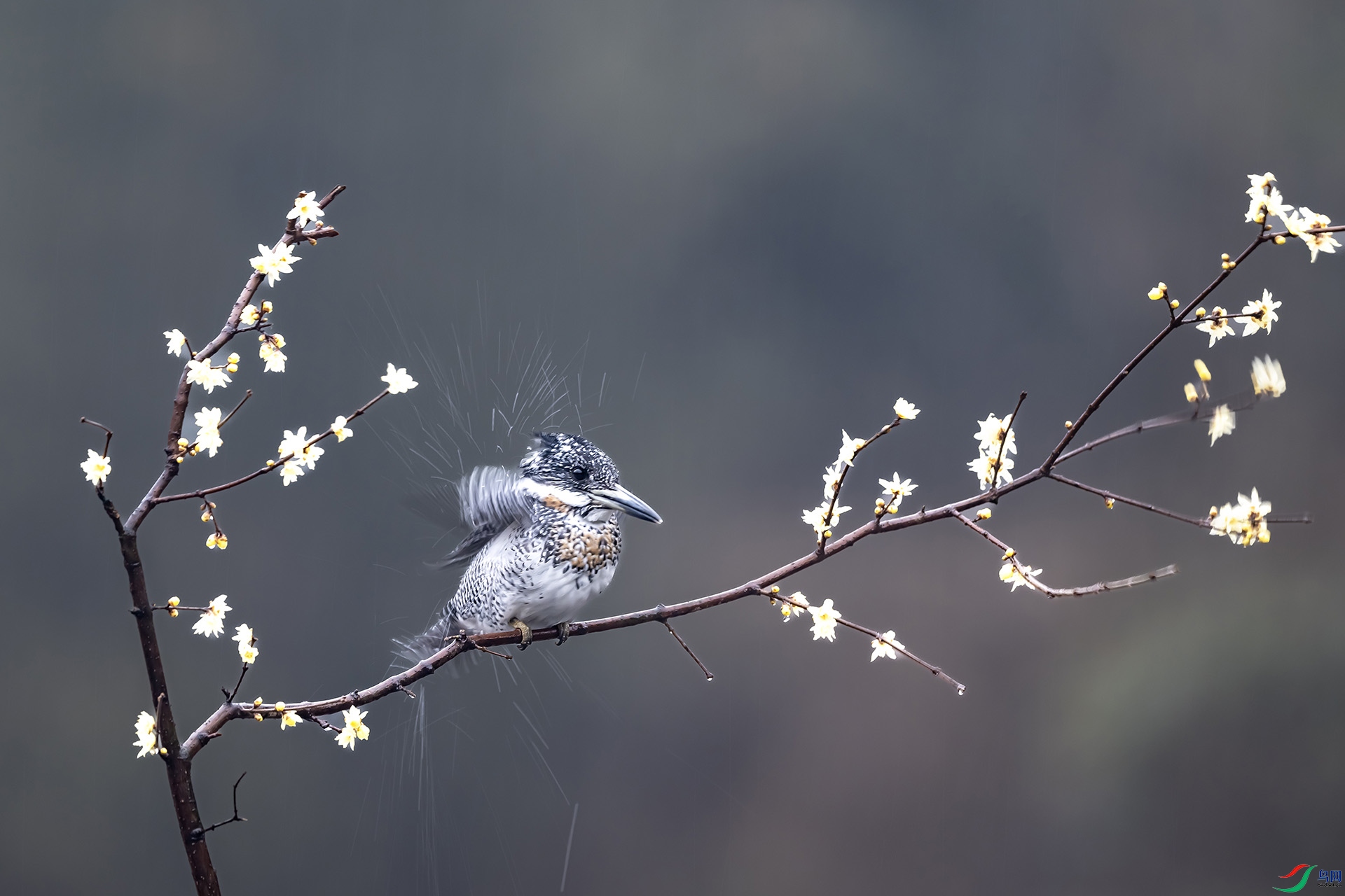 DSC_5948 ���� 2.jpg