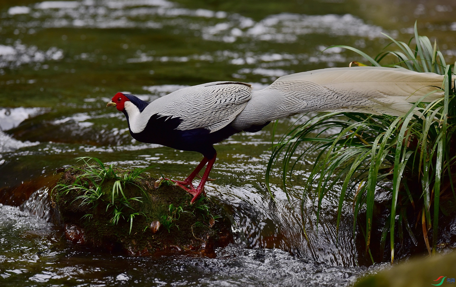 D8I_8985.jpg
