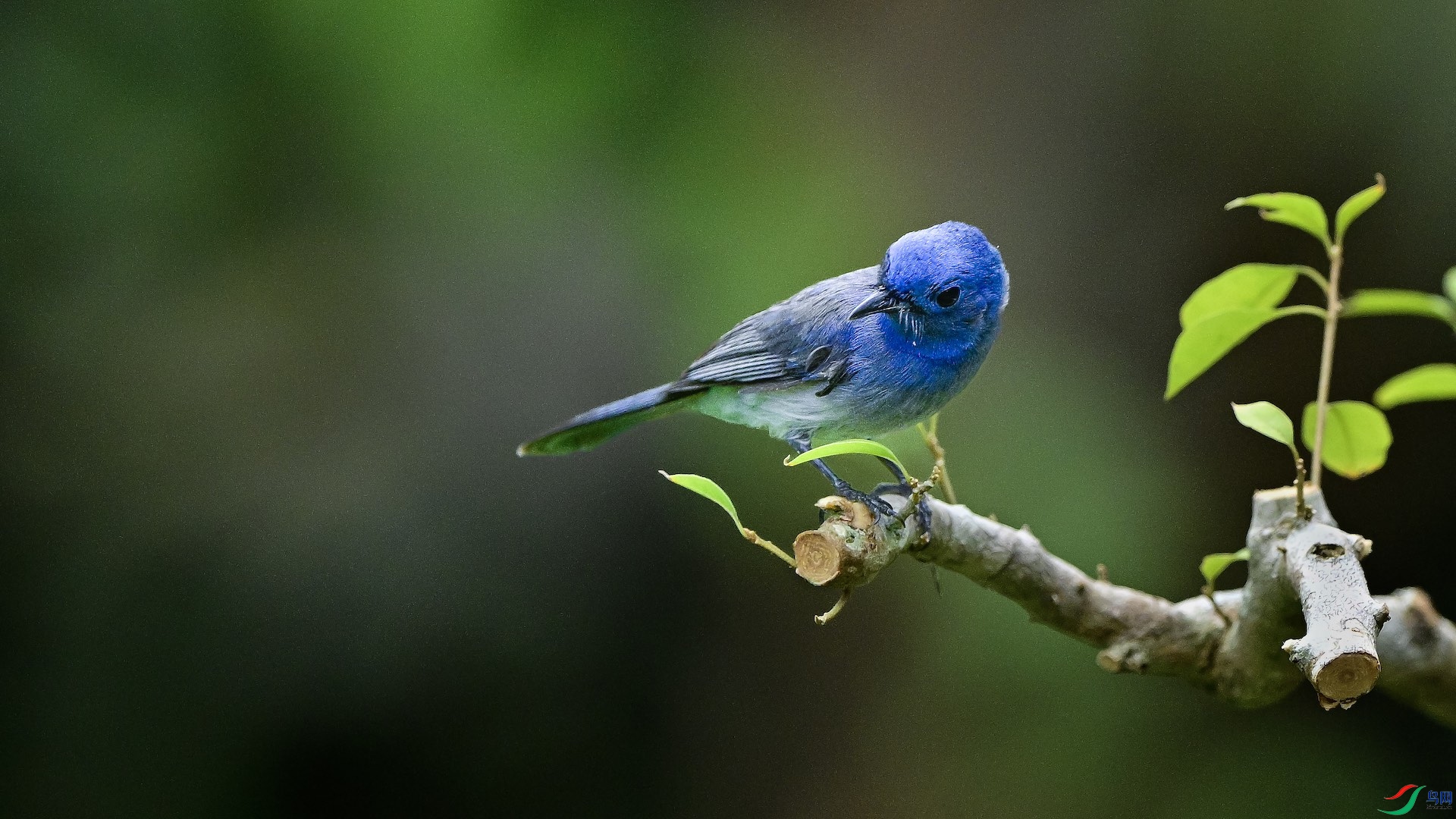 2_XXL3327 ����.jpeg