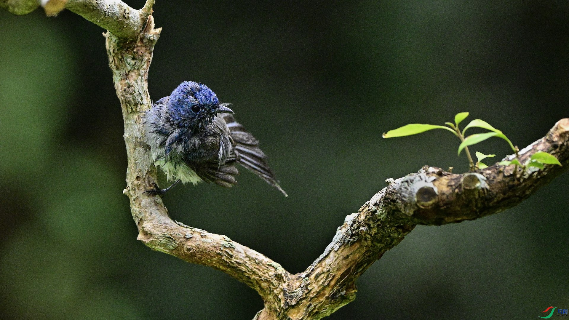 2_XXL3463 ����.jpeg