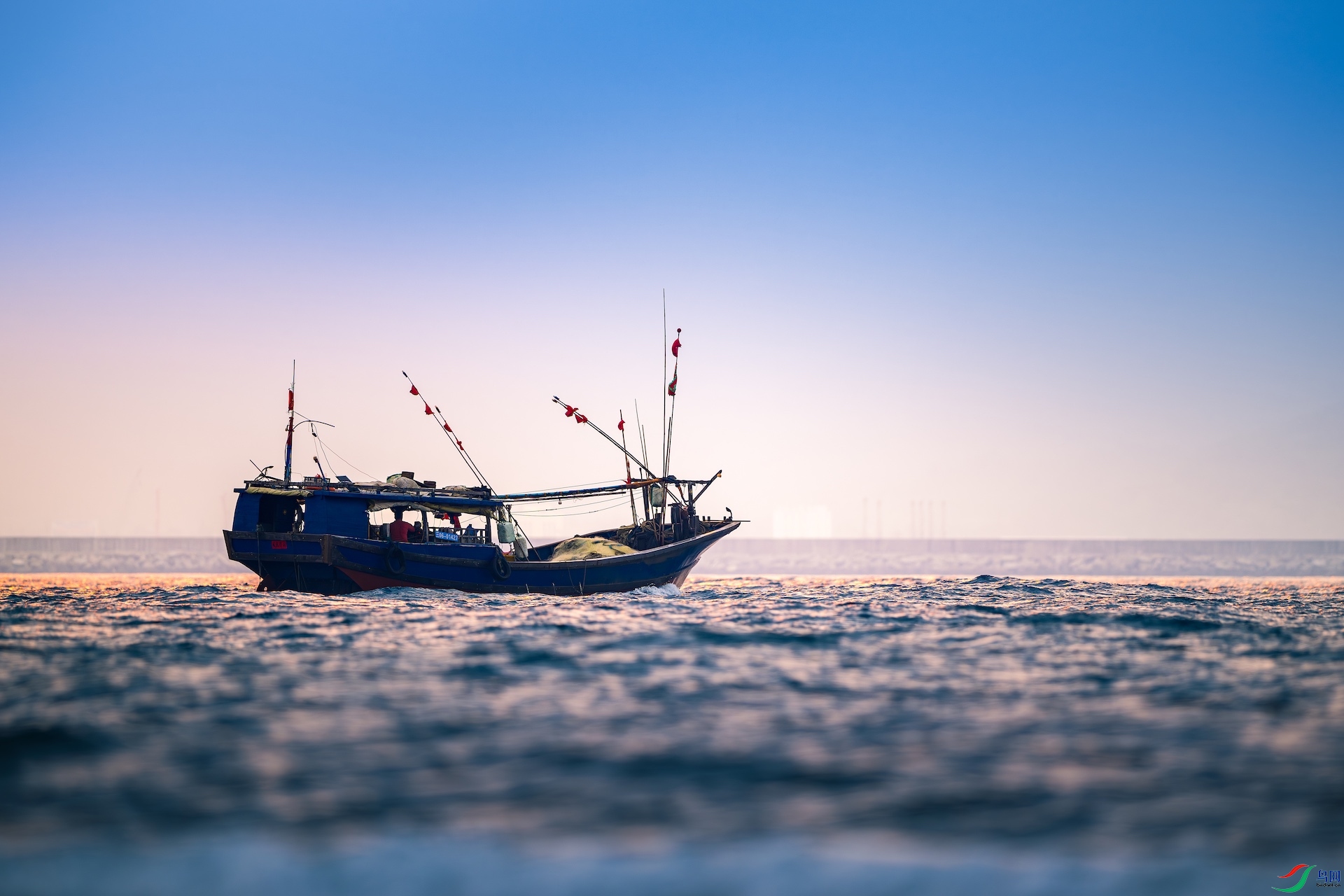 2_XXL6216-����ǿ-NR ����.jpeg