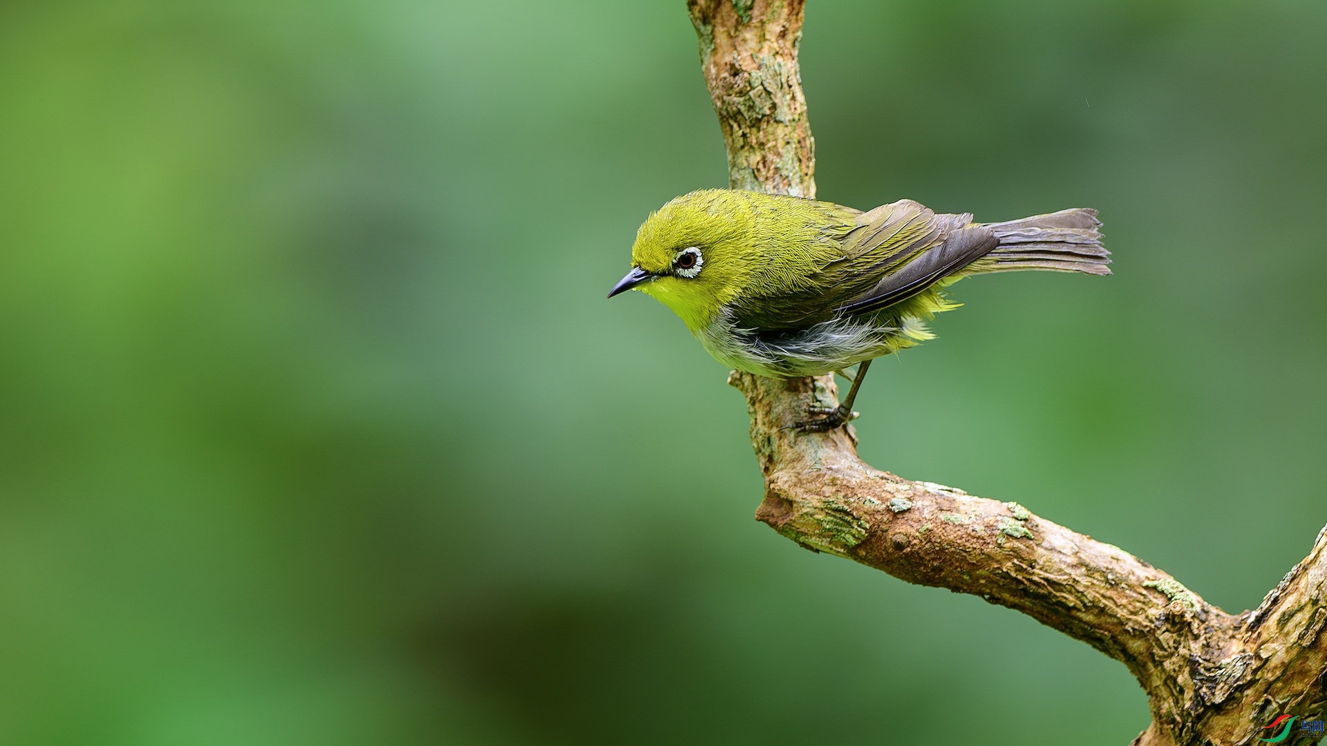 2_XXL6546-����ǿ-NR ����.jpeg