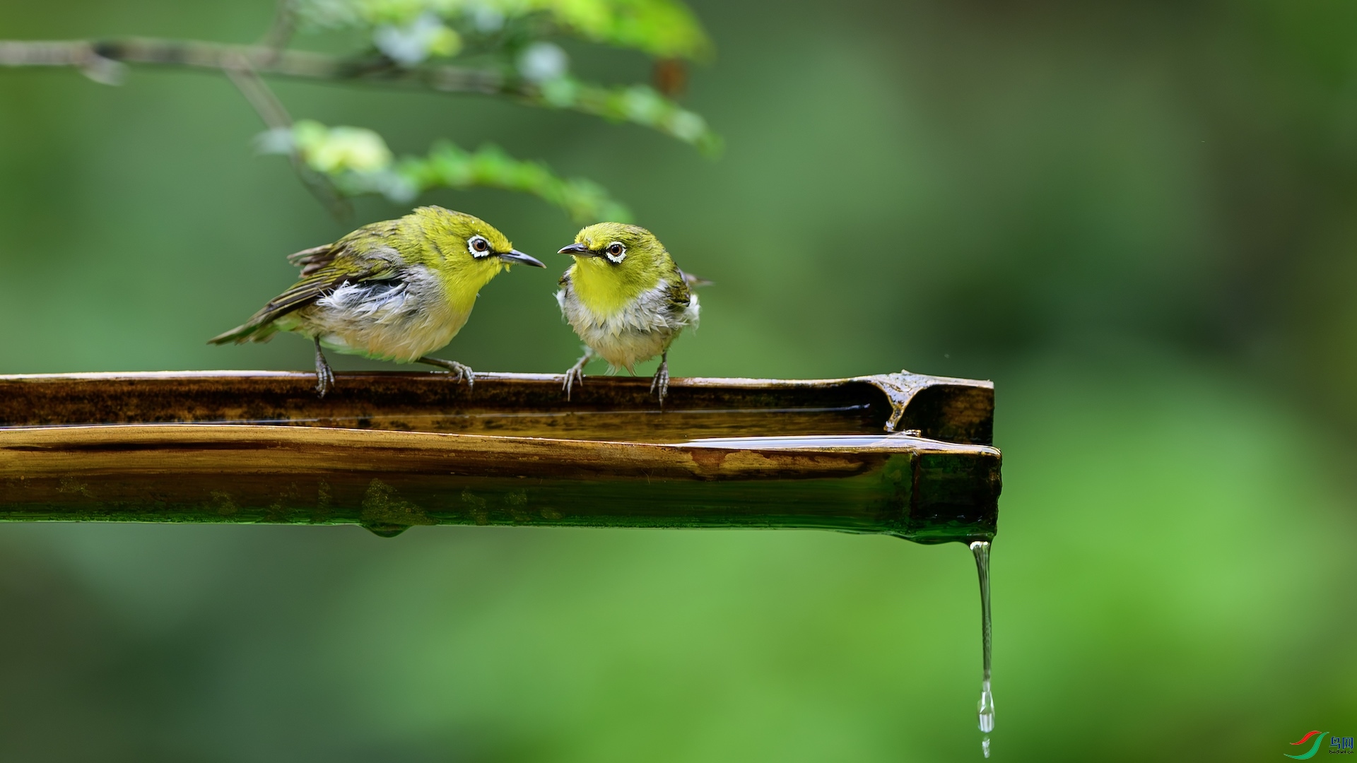 2_XXL6653-����ǿ-NR ����.jpeg