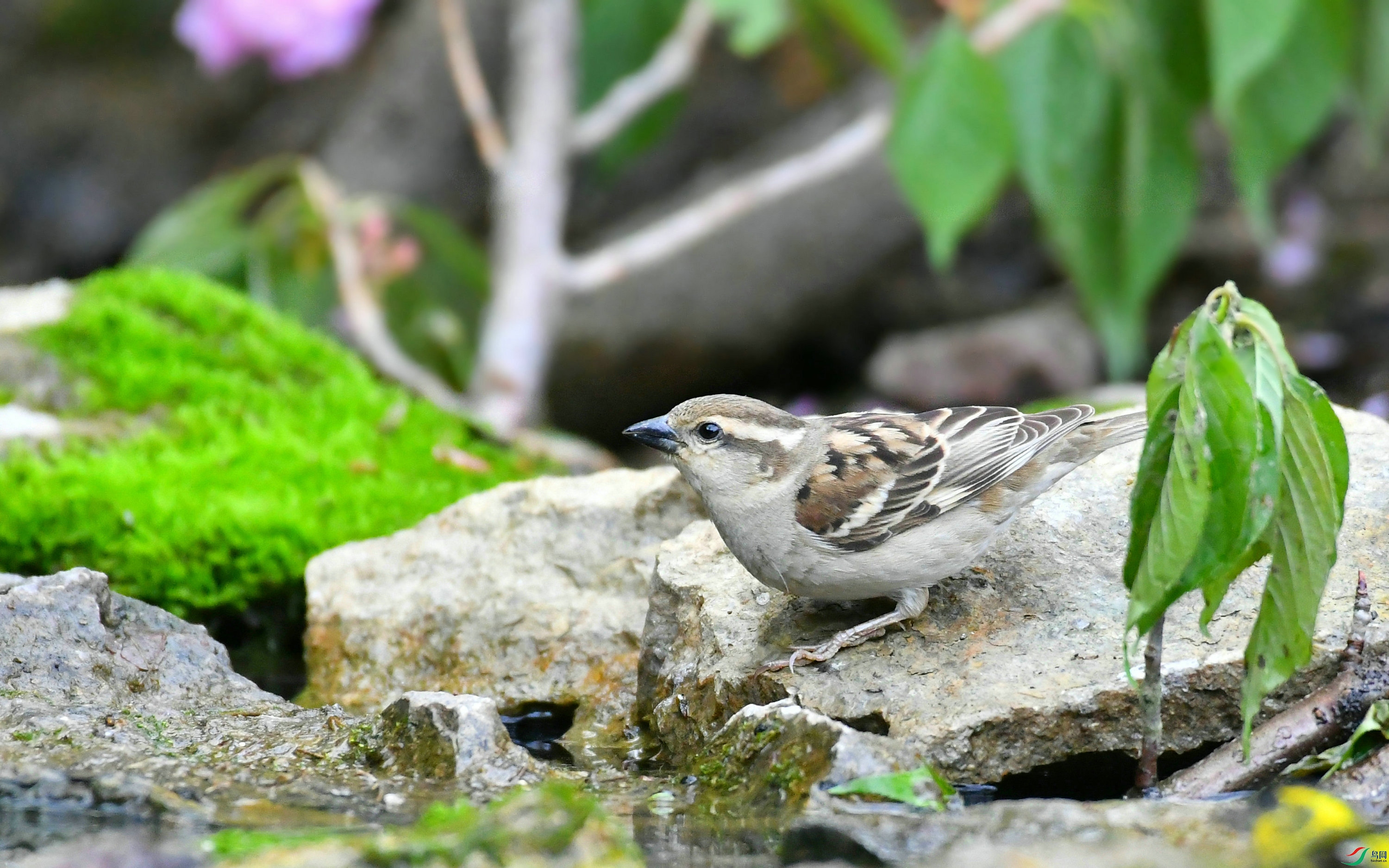 DSC_0776.JPG