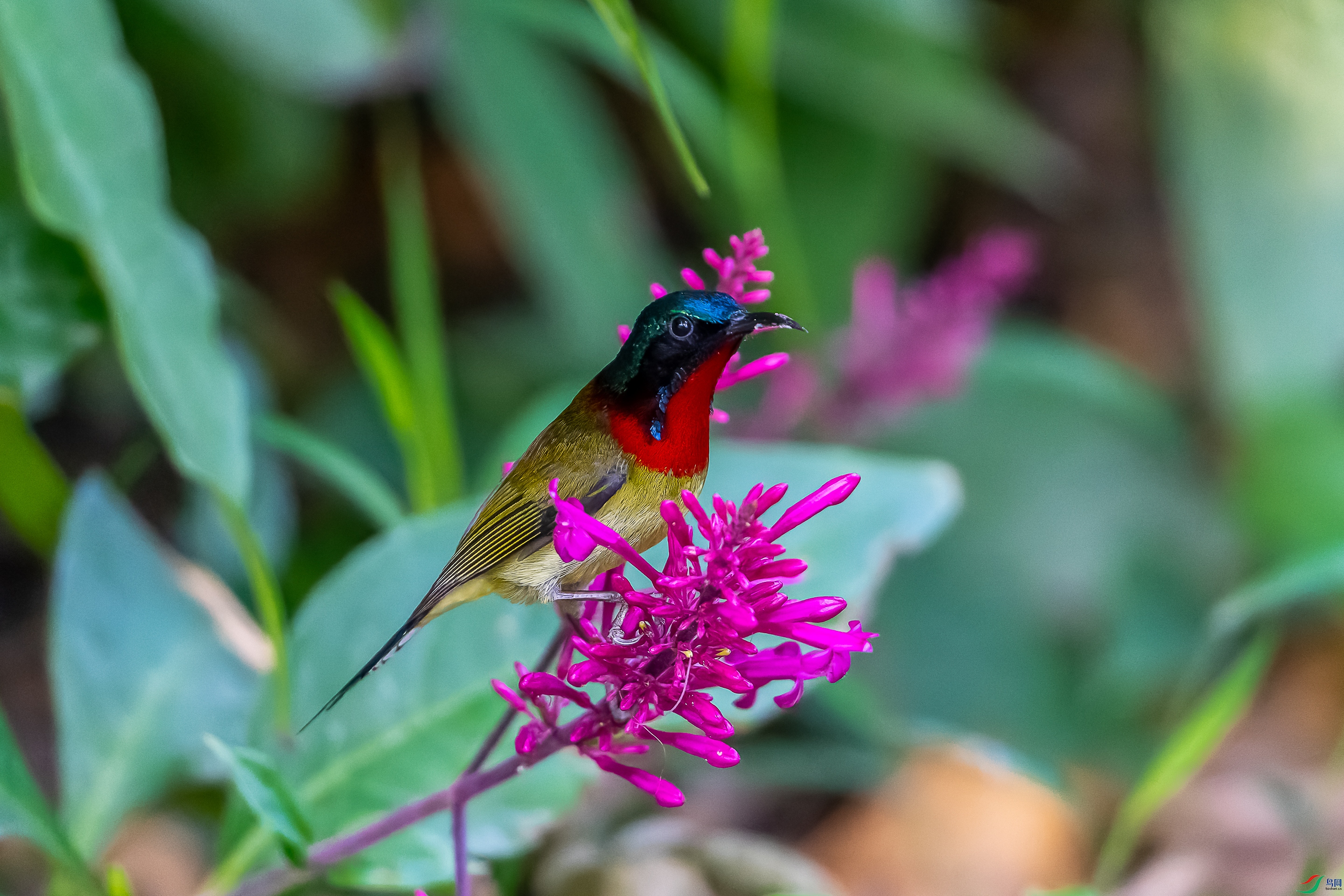 DSC09908-1.jpg