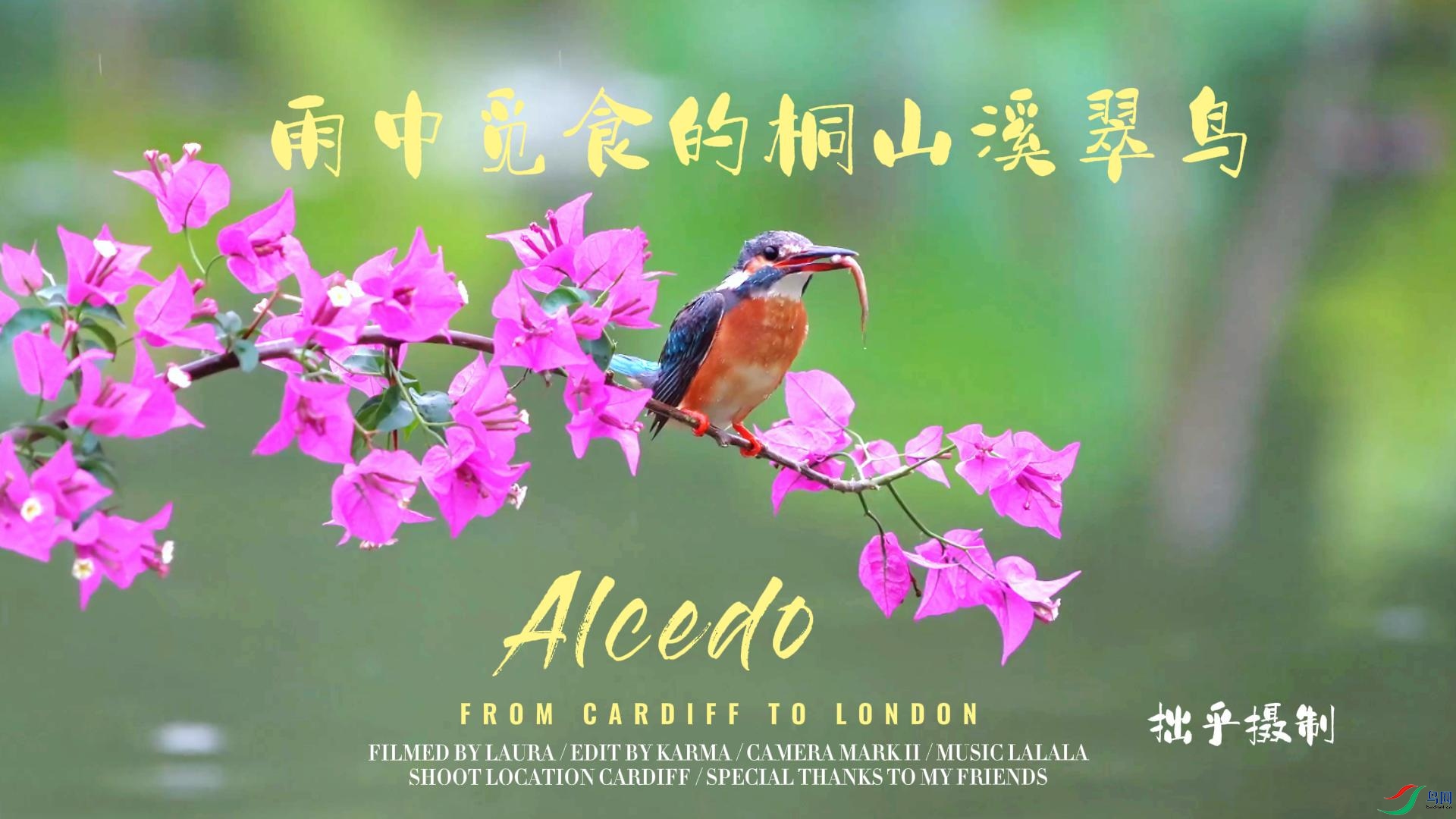 ������ʳ��ͩɽ����-����.jpg