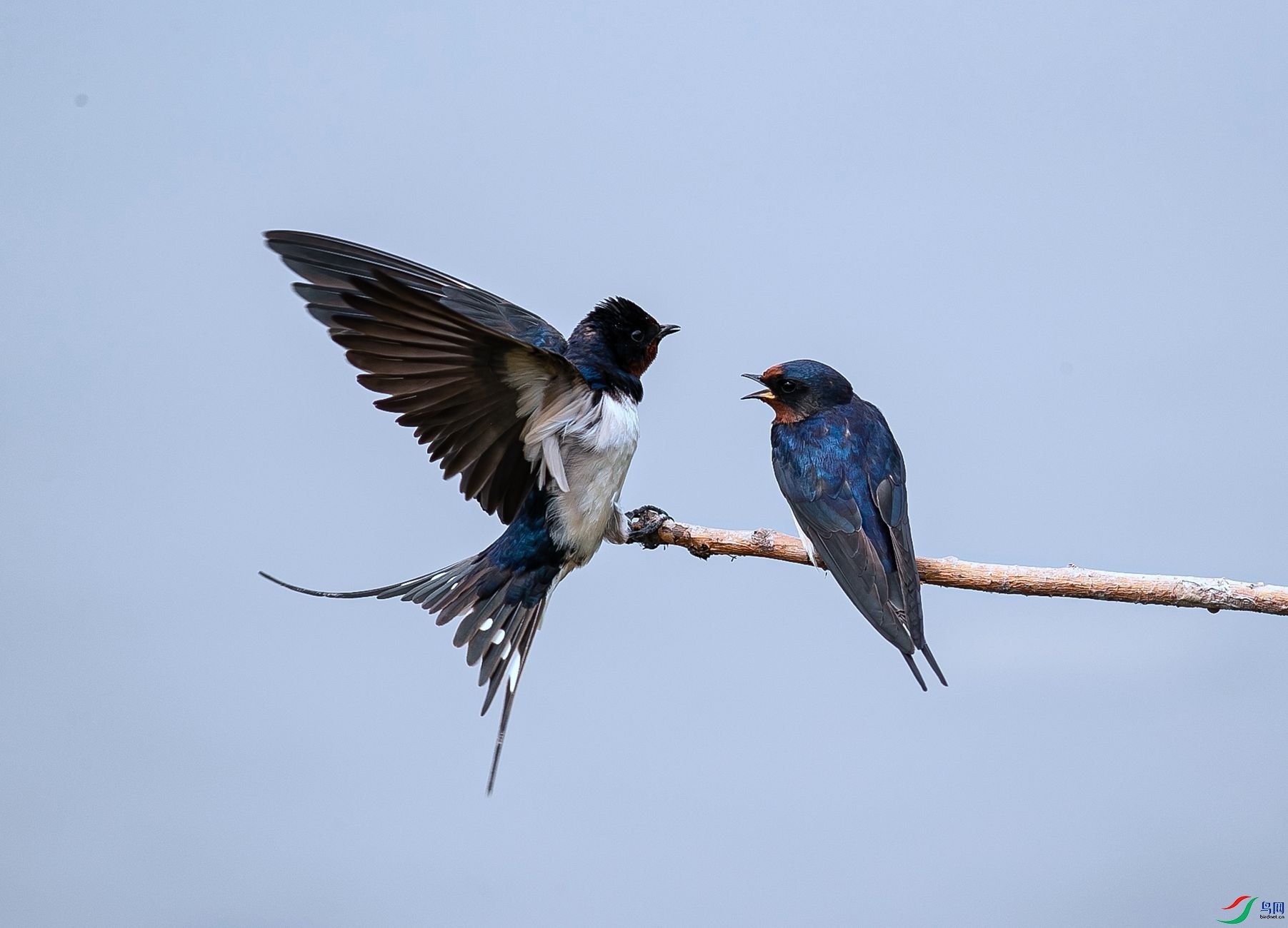 _O7I4927 ����_����.jpg