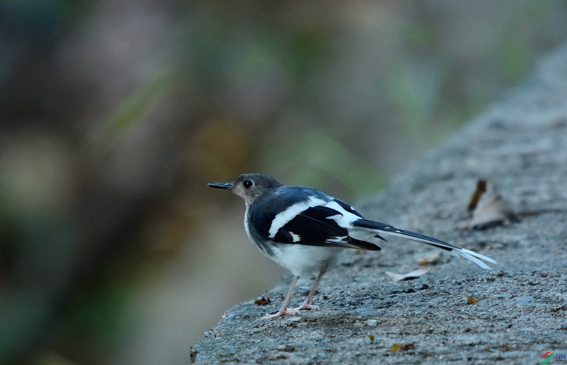 D72_6334.jpg