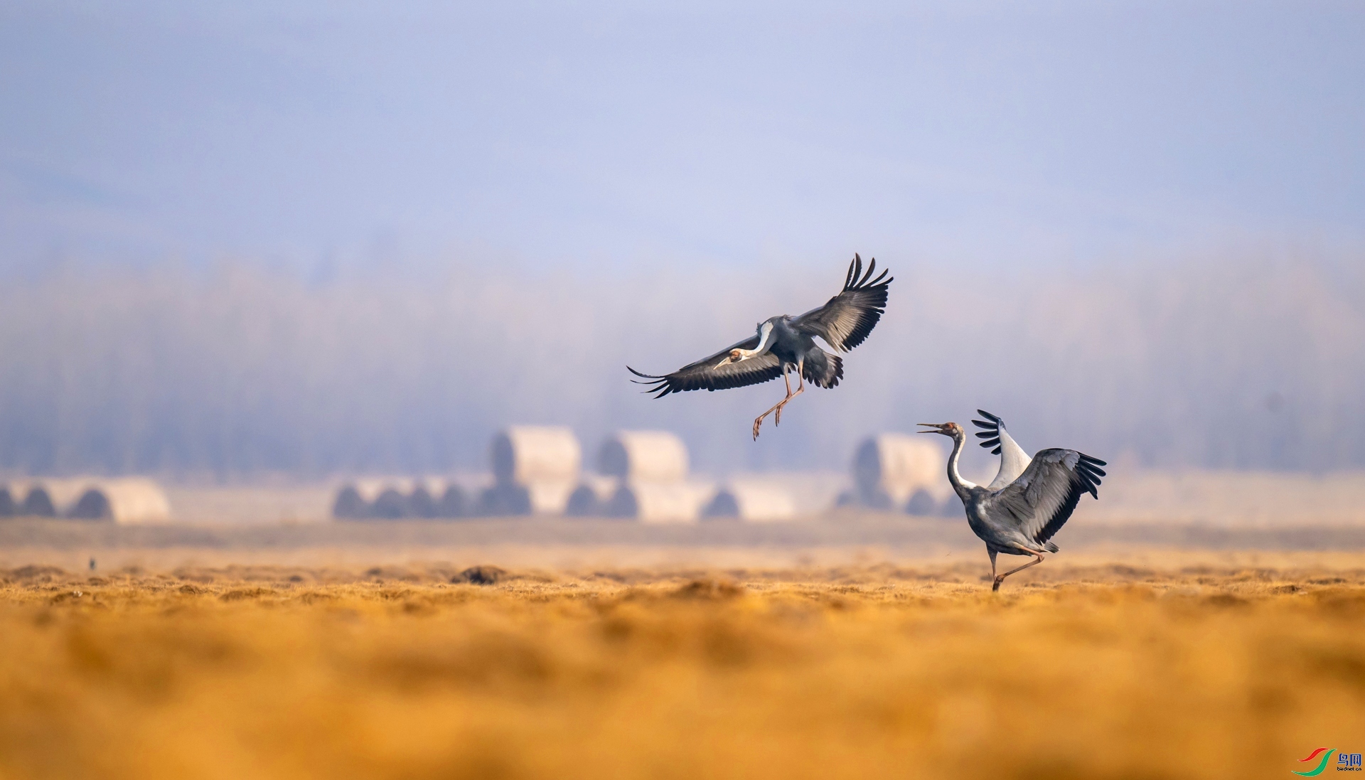 ÿ�ռ���  ������  ���� ����ʽ ����.jpg