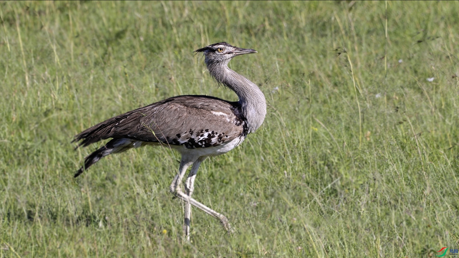 ΢��ͼƬ_20240428225418 ���� 1.jpg