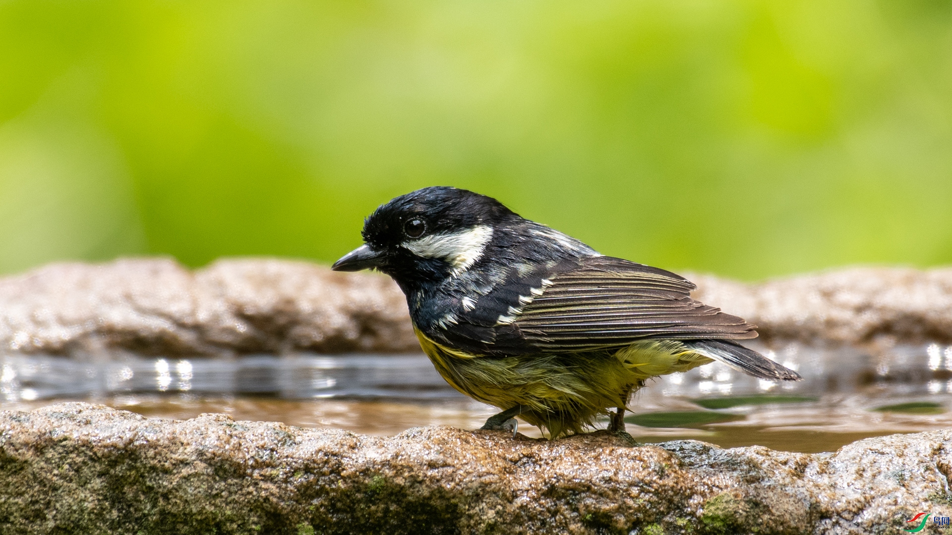 _DSC6684.jpg