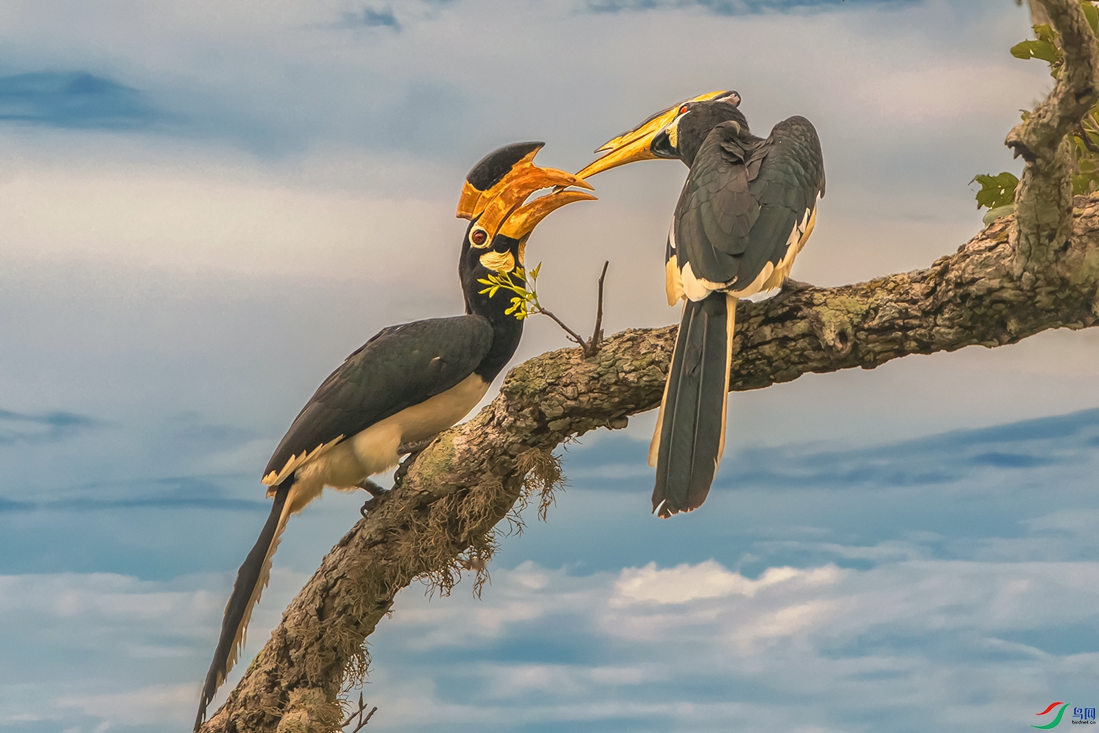 �ڰ�Ϭ��----����֮��