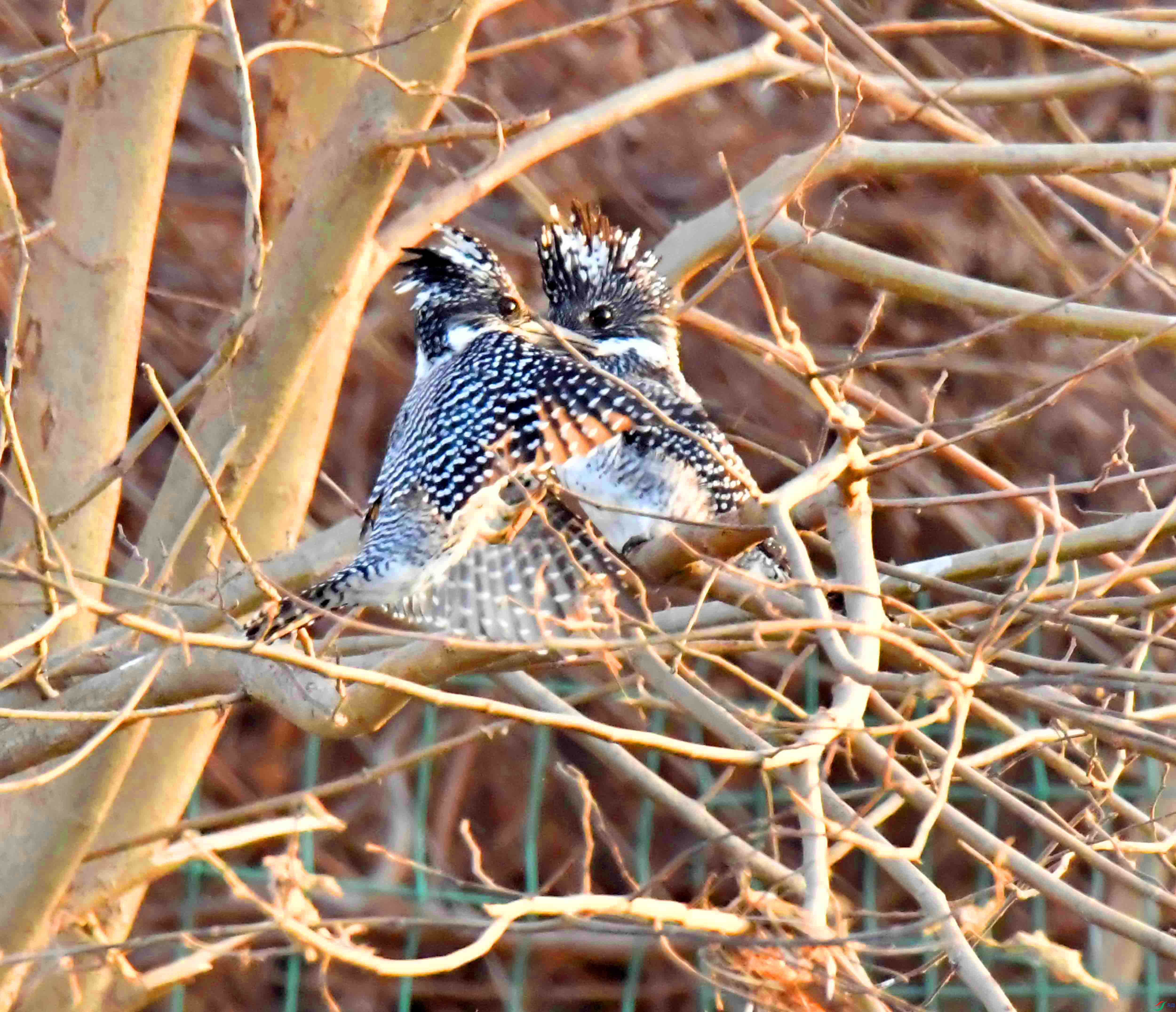 DSC_3454.JPG