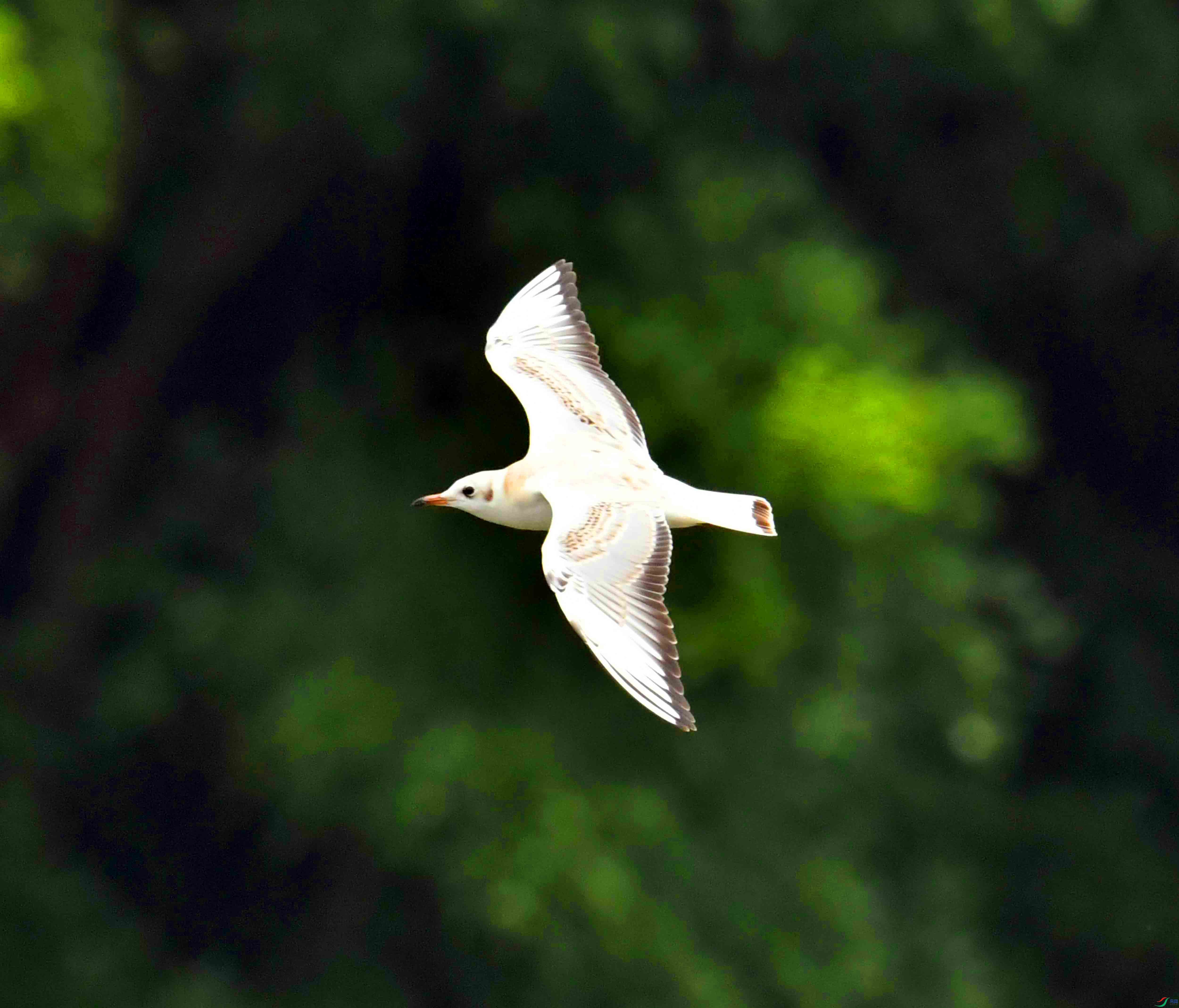 DSC_6893.JPG