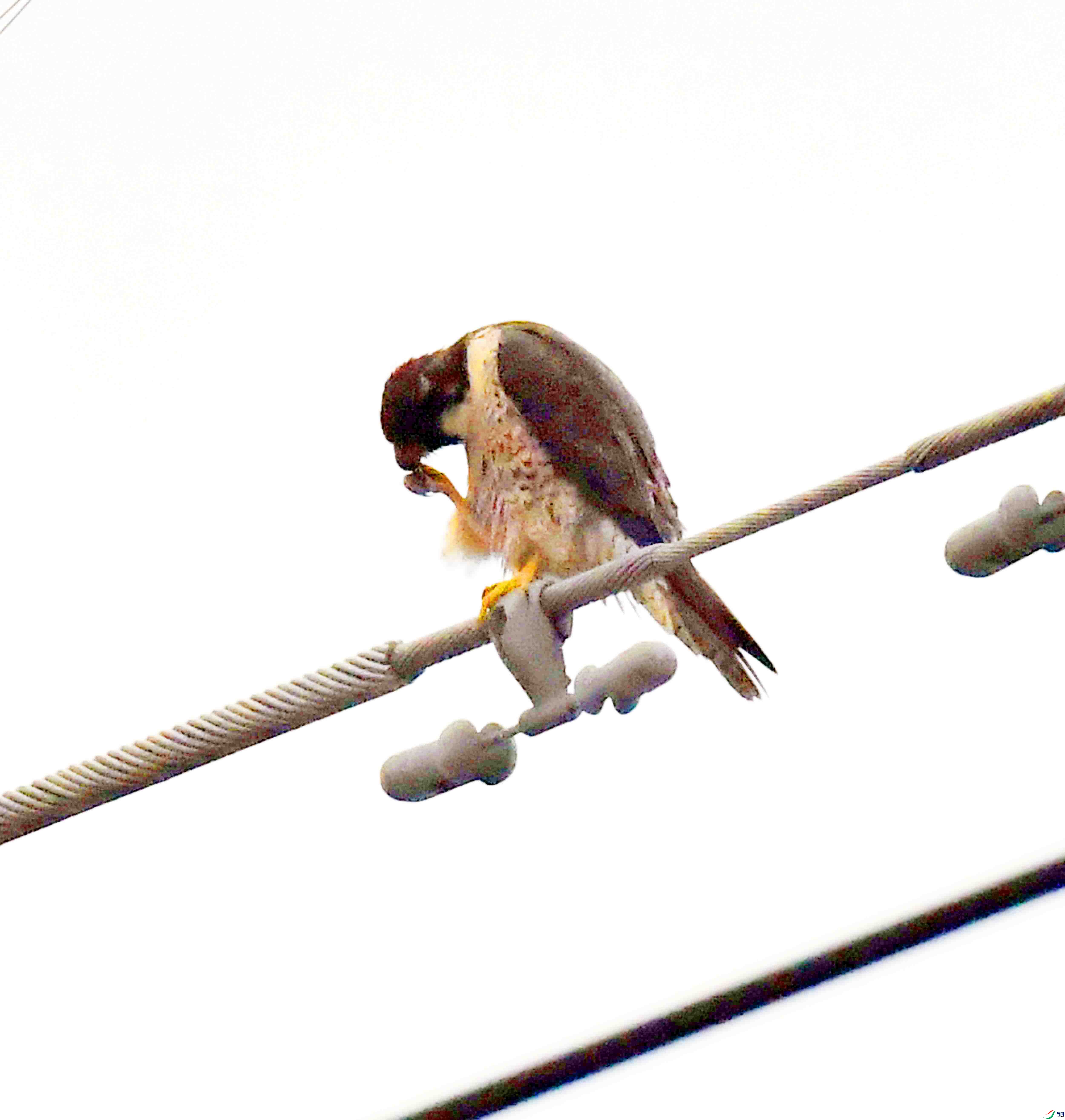 DSC_4040.JPG