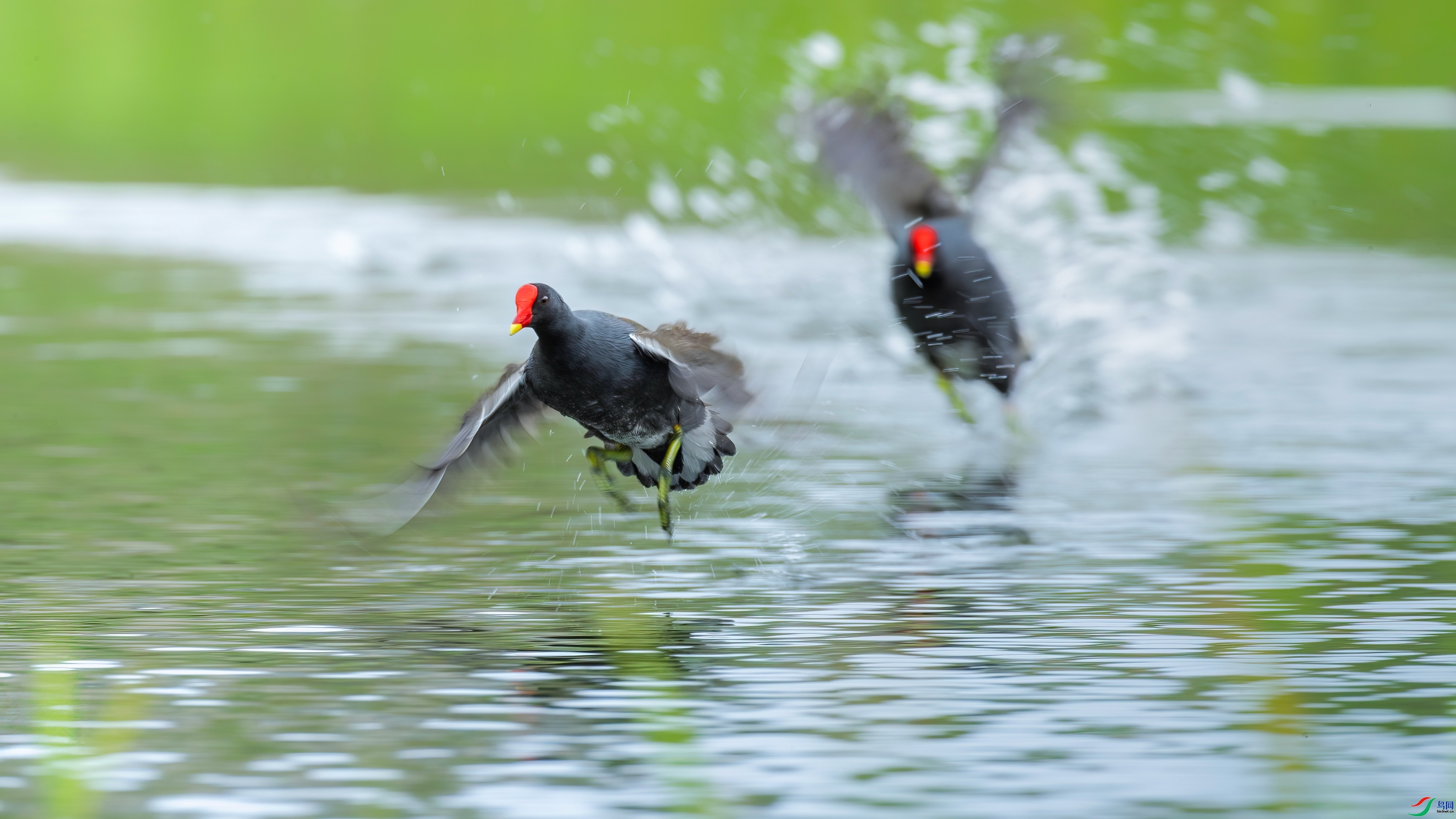 �궯�Ĵ��� ���� Hsia  ��һ.jpg