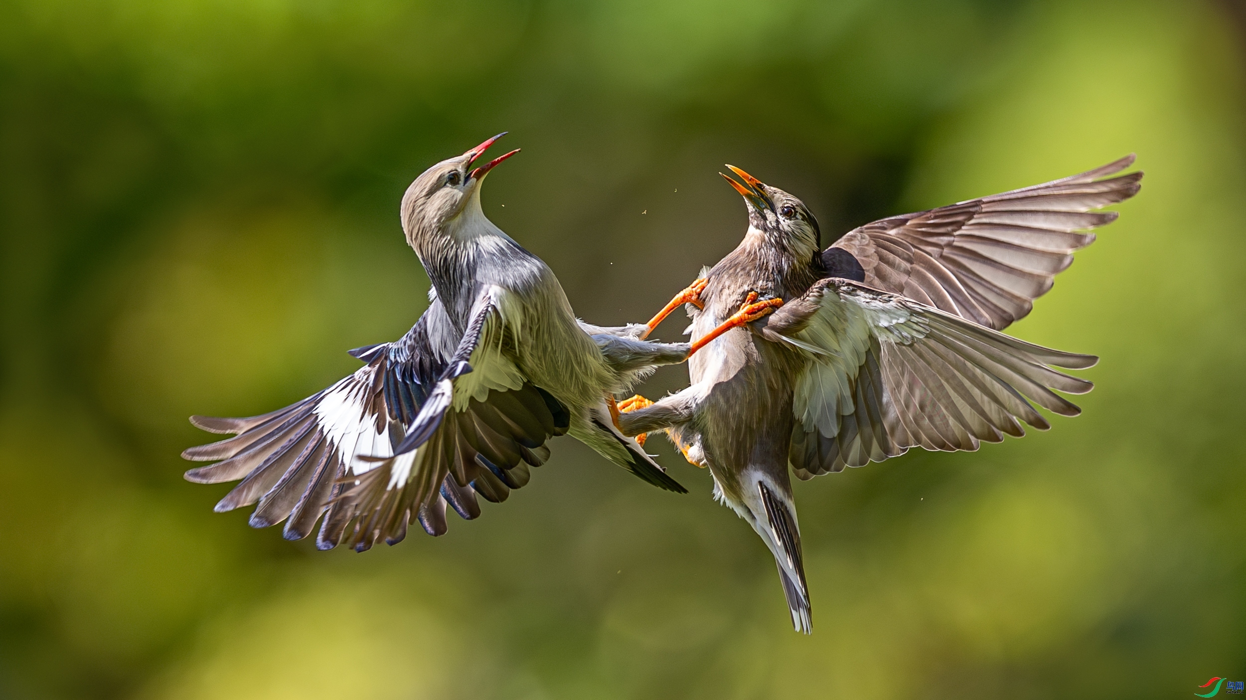 ̫��ȭ ���� �������� ��һ.jpg