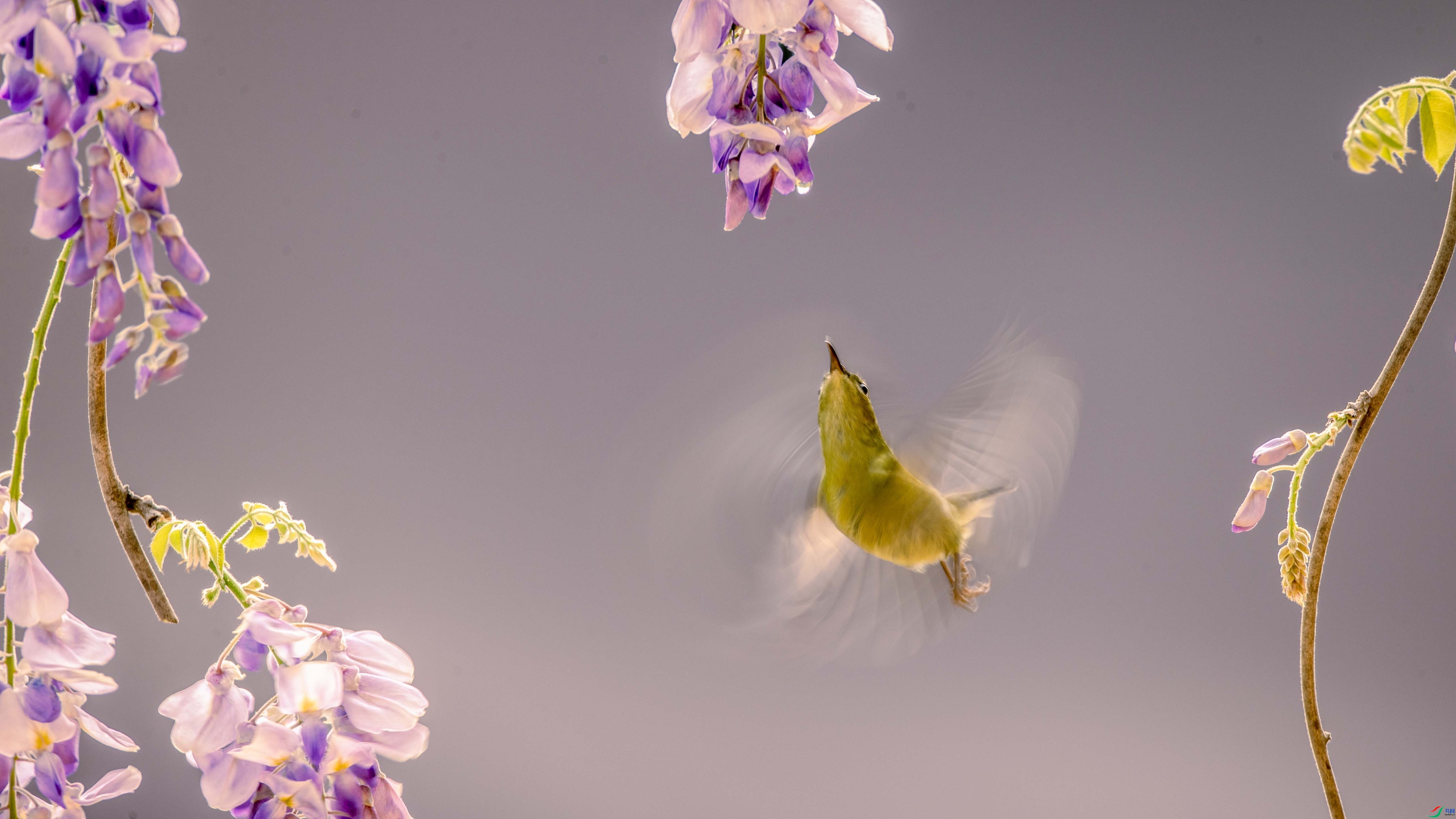 ����С�� ���� �����Ŀ� ��һ.jpg