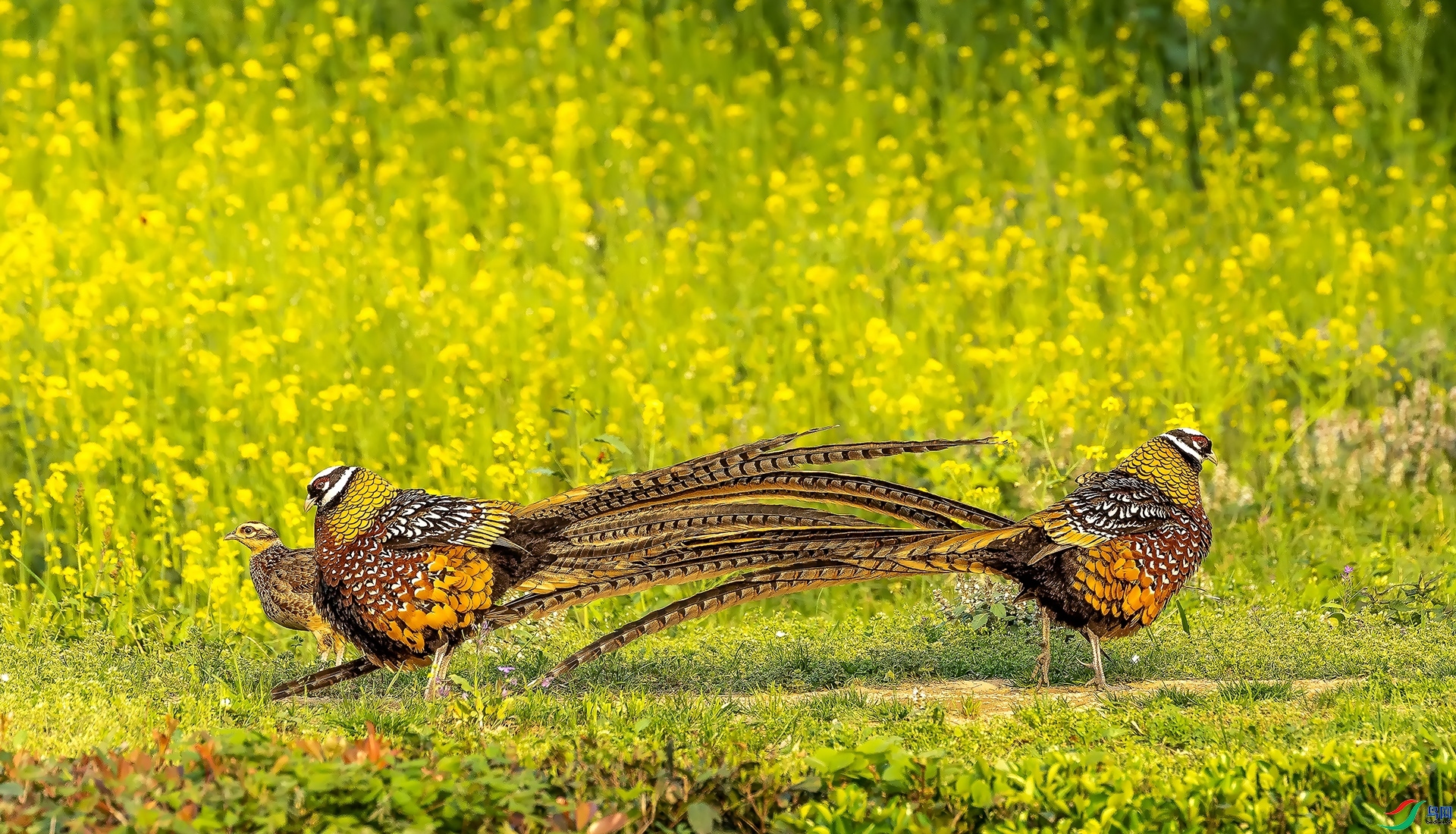 ˫����� ���� л���� �ܶ�.jpg