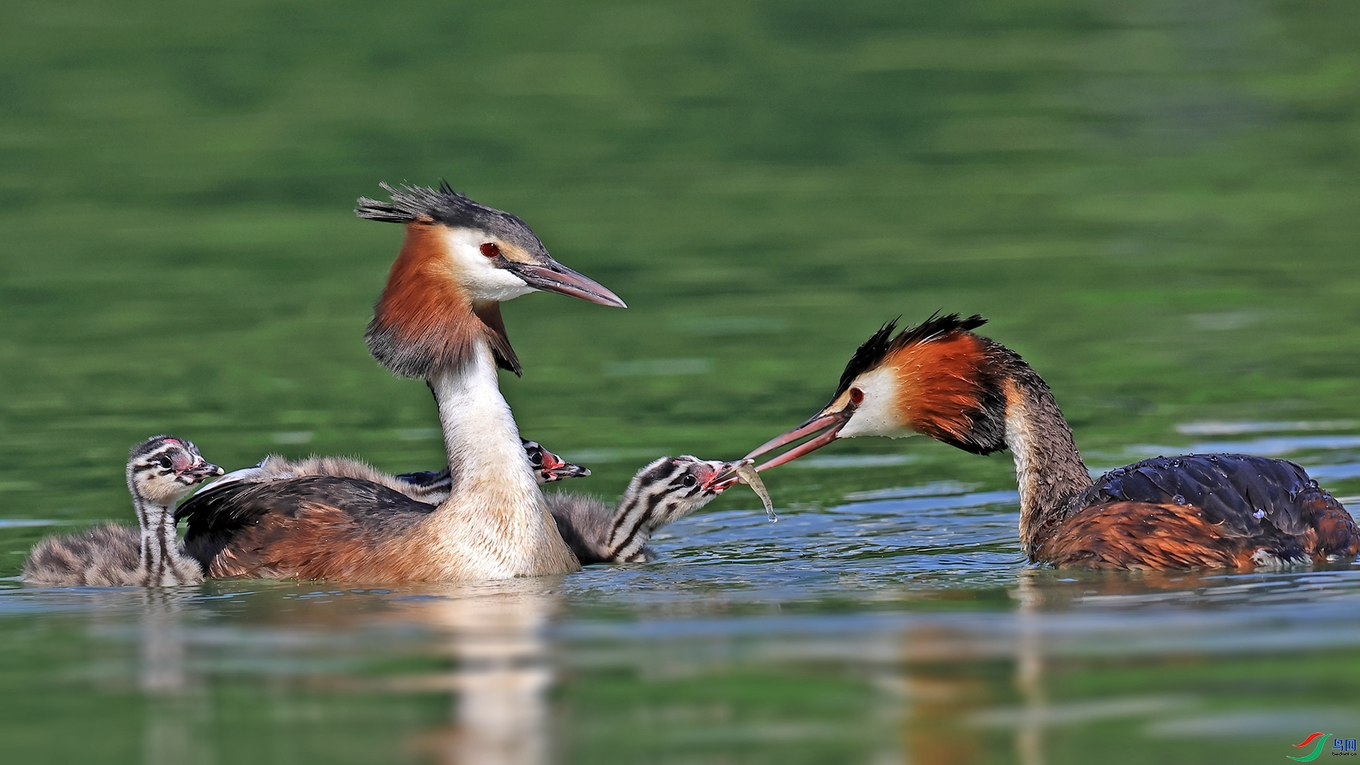 ������ ���� ������ �ܶ�.jpg