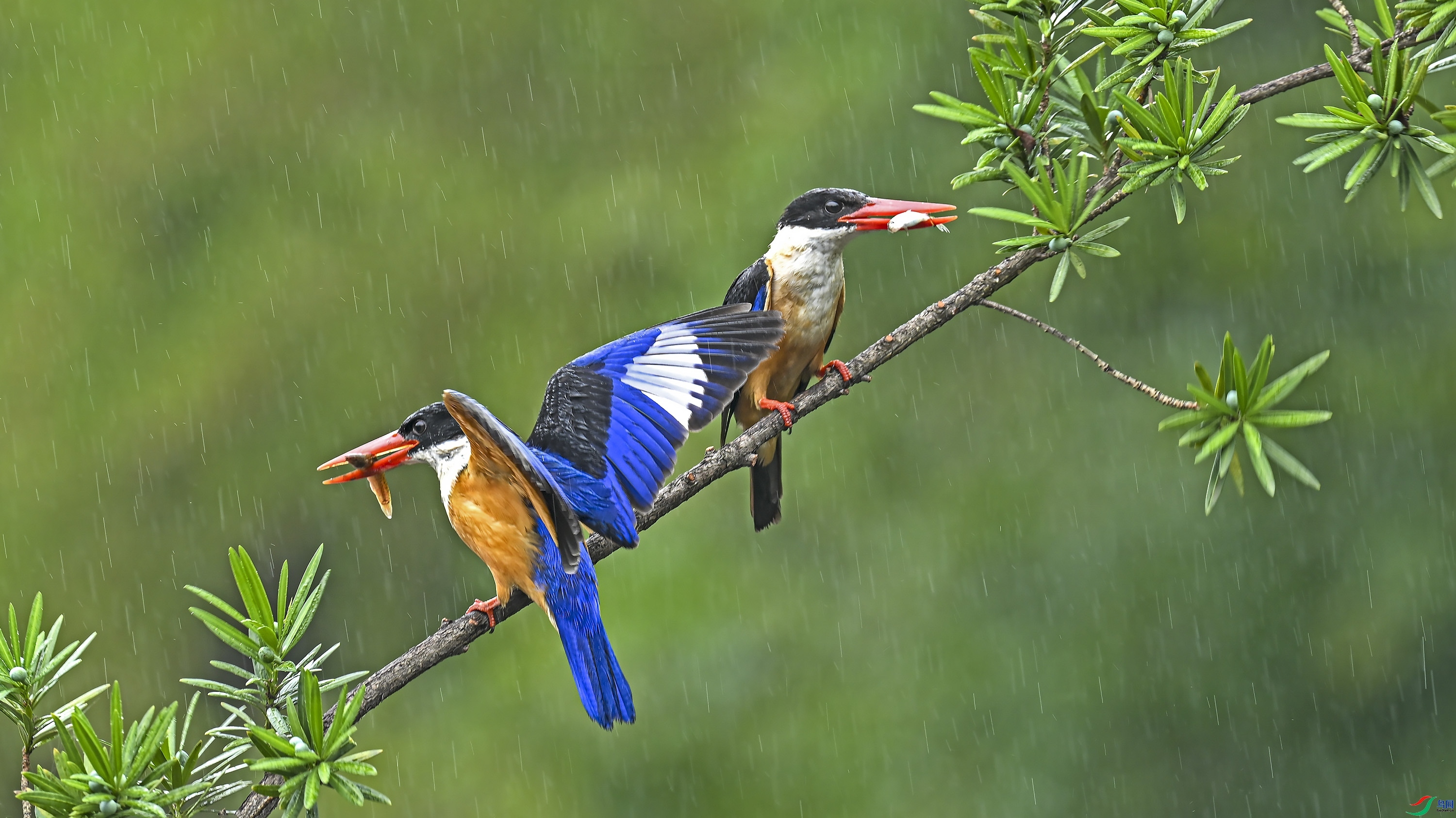 ��ĸ���� ���� wh�ϳ�  ����.jpg