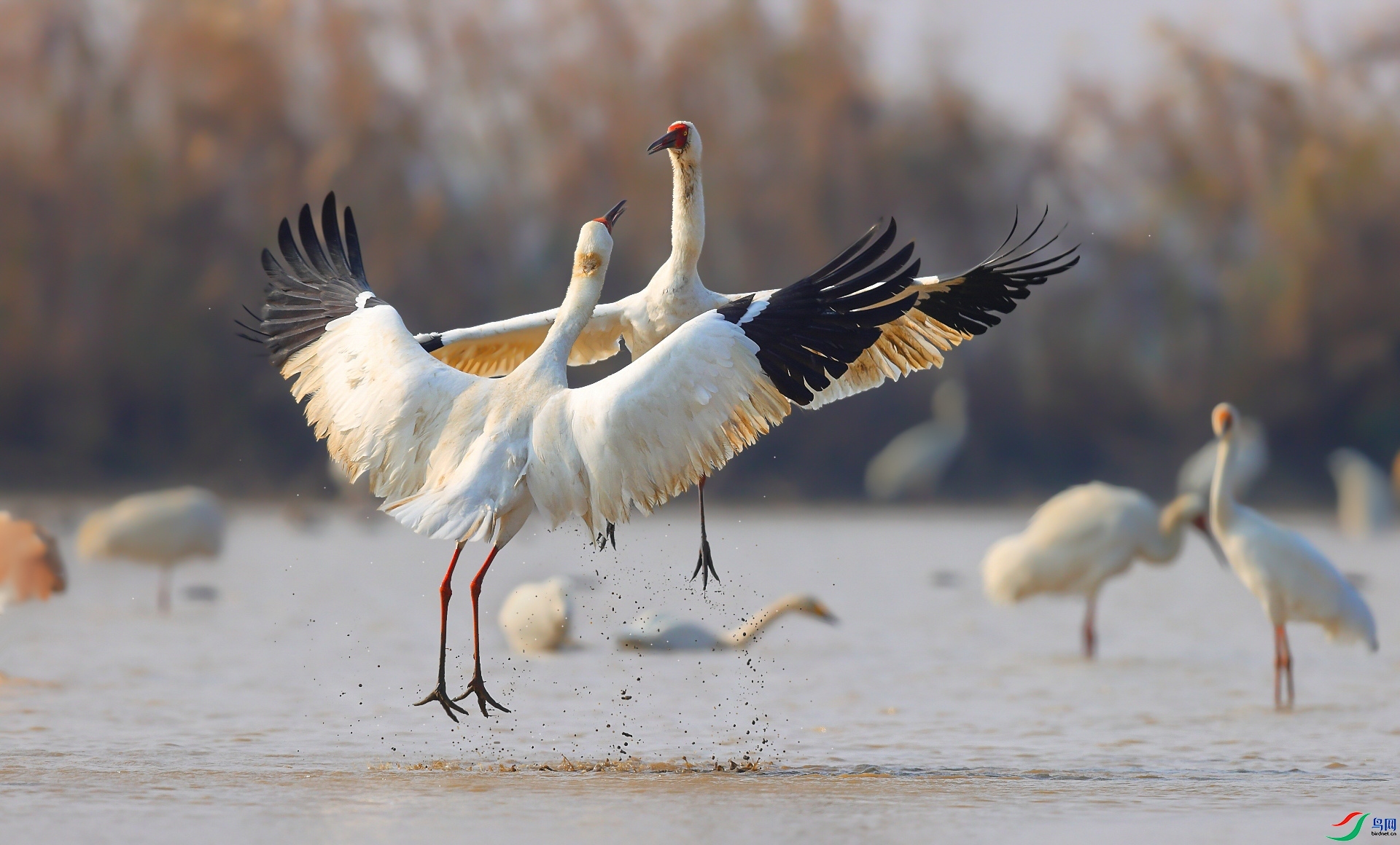 �׶�  ���� ���� ����.jpg