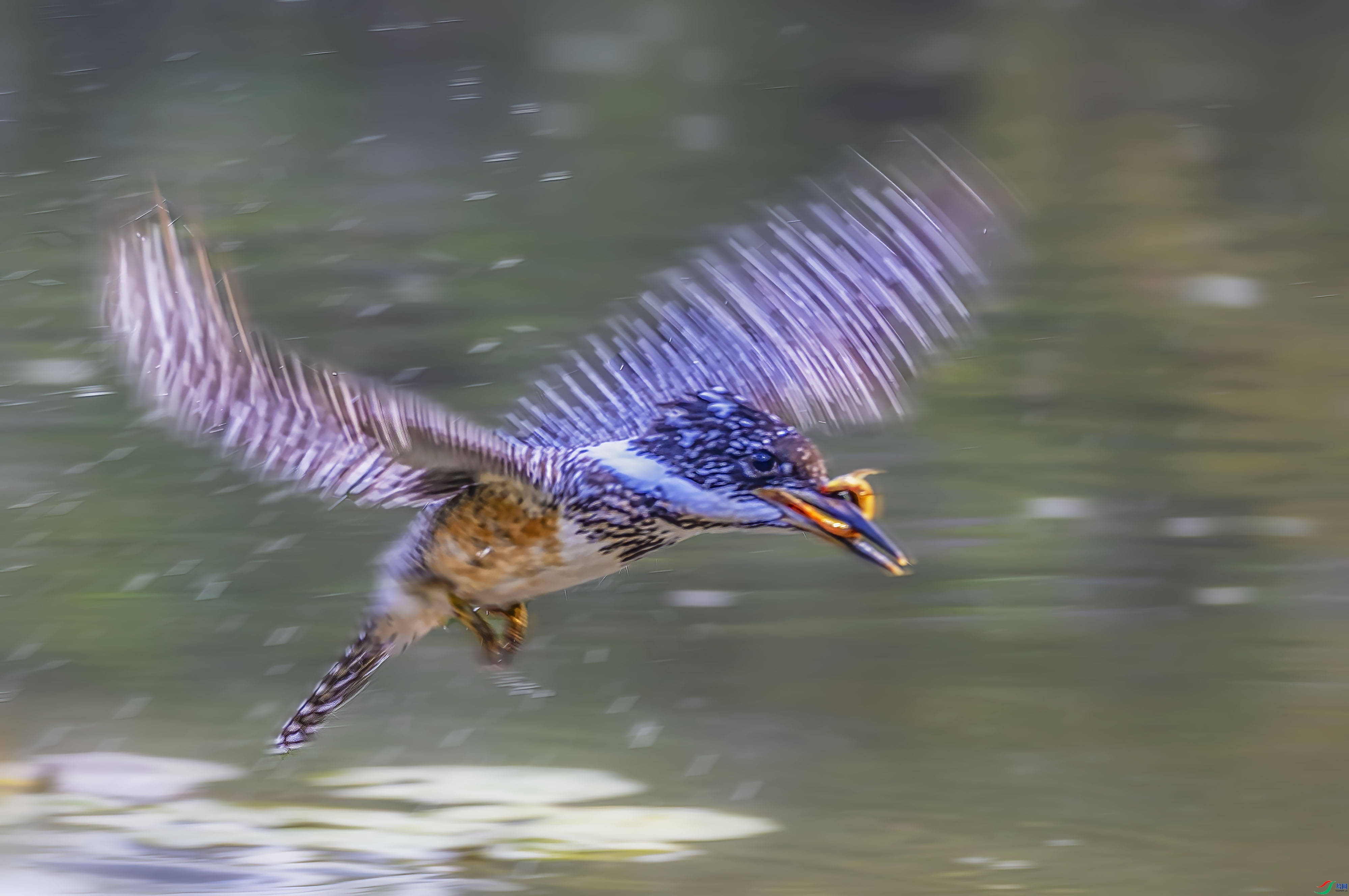 ����  ���� ����.jpg