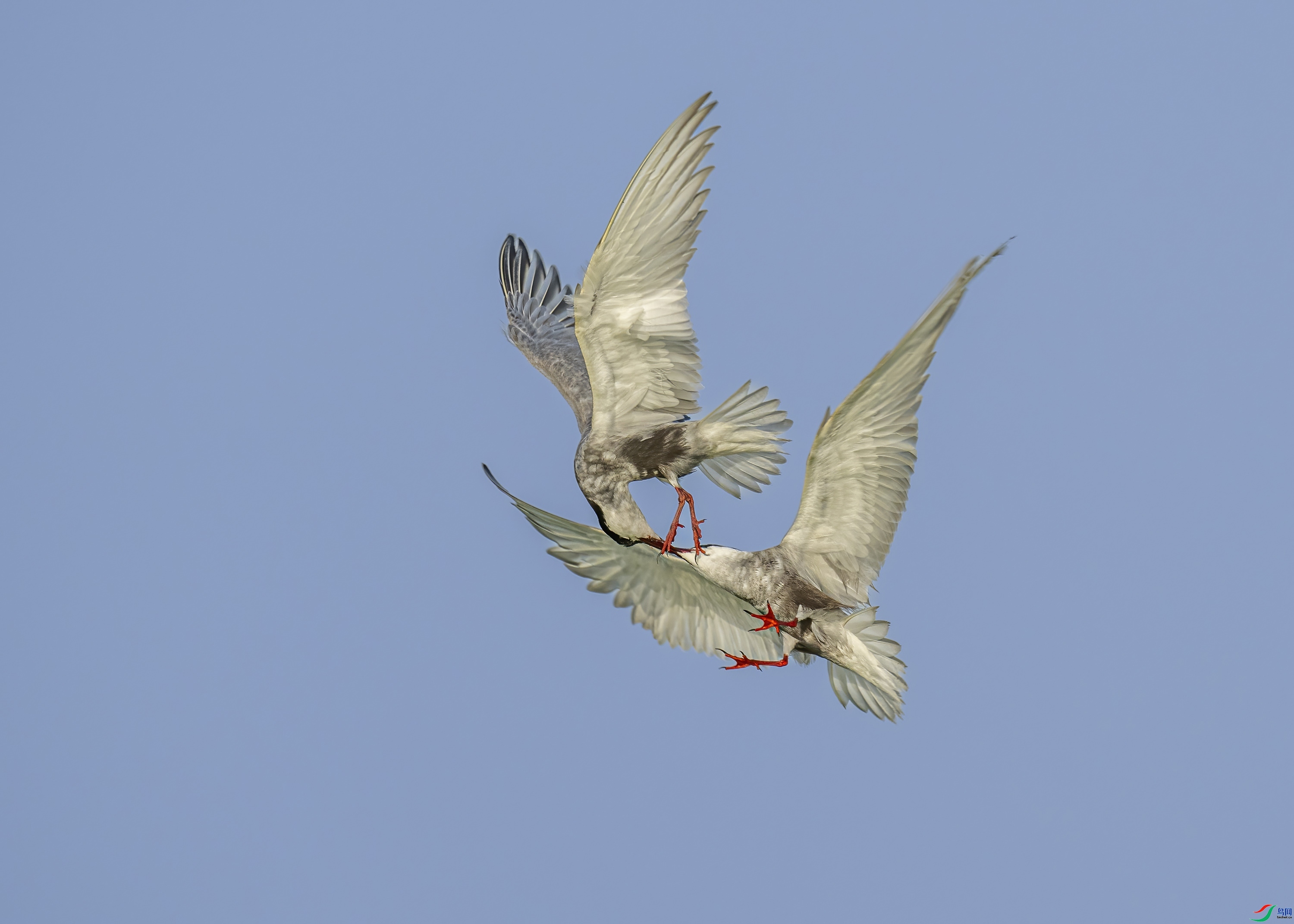 ��ս ���� ���� ����.jpg